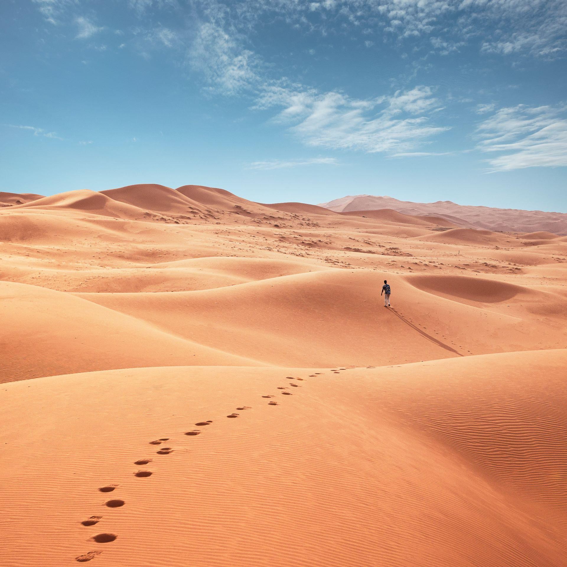 From Muscat: 4WD Day Trip to Wadi Bani Khalid & Wahiba Sands