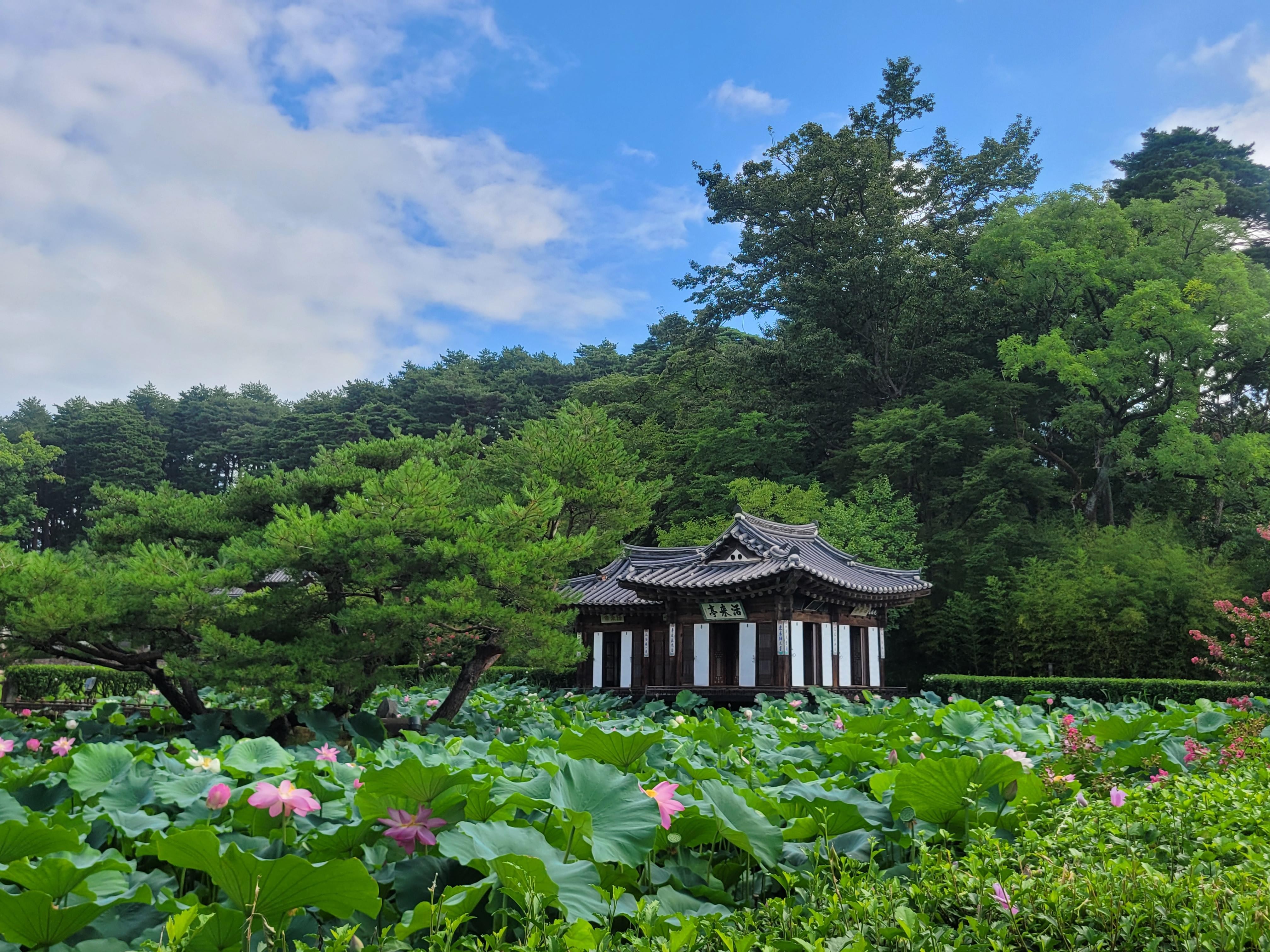 From Seoul: Private Gangneung Tour with Coastal Trail Walk 2