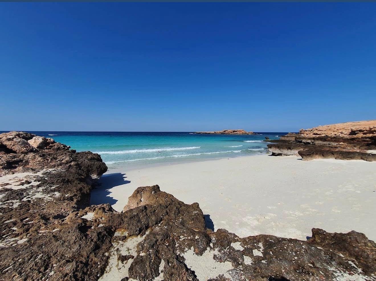 Daymaniyat Islands: Snorkeling Trip with Sea Turtles from Muscat 3