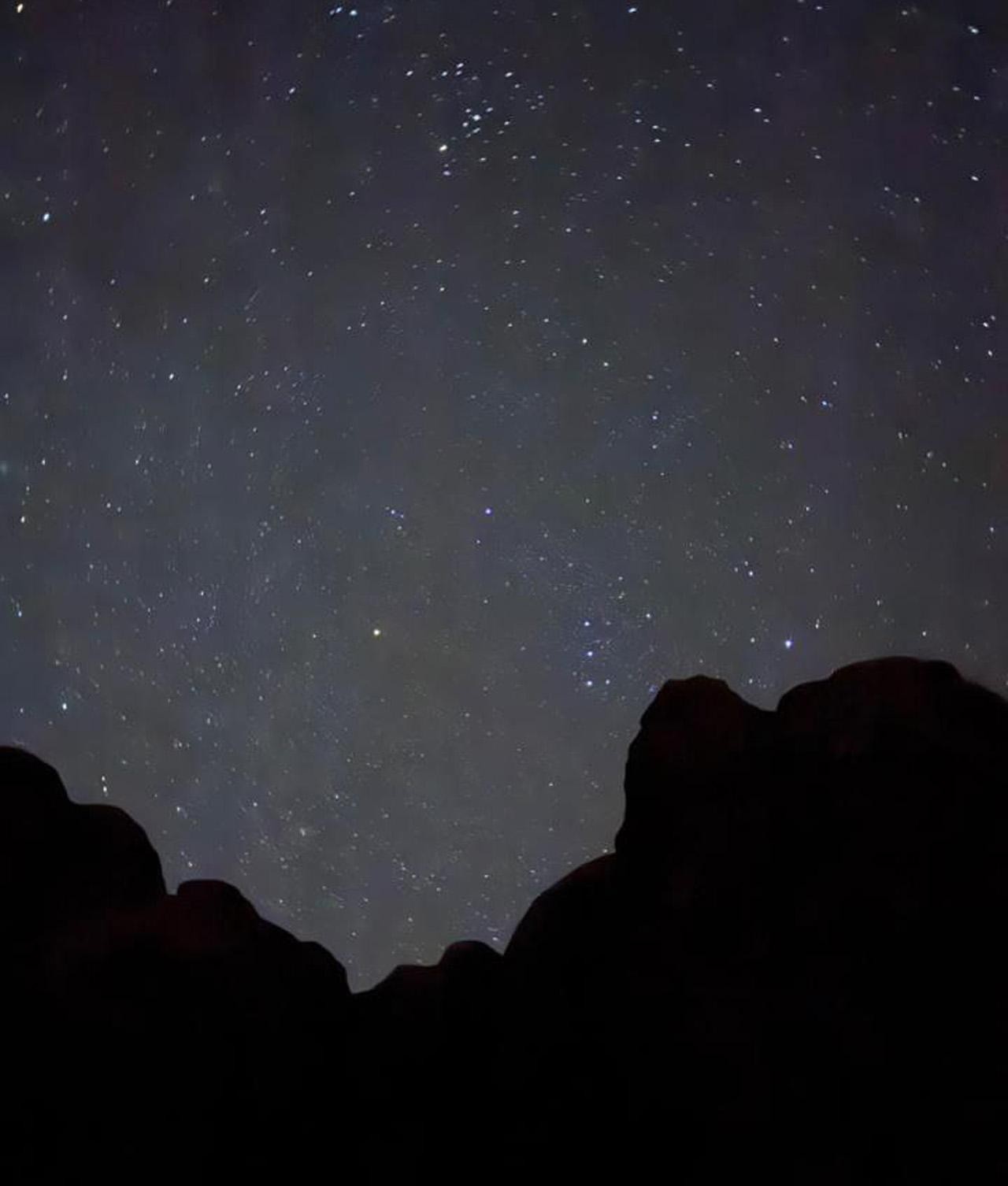 Wadi Rum Night Immersion: Deep Desert Silence & Stargazing 3