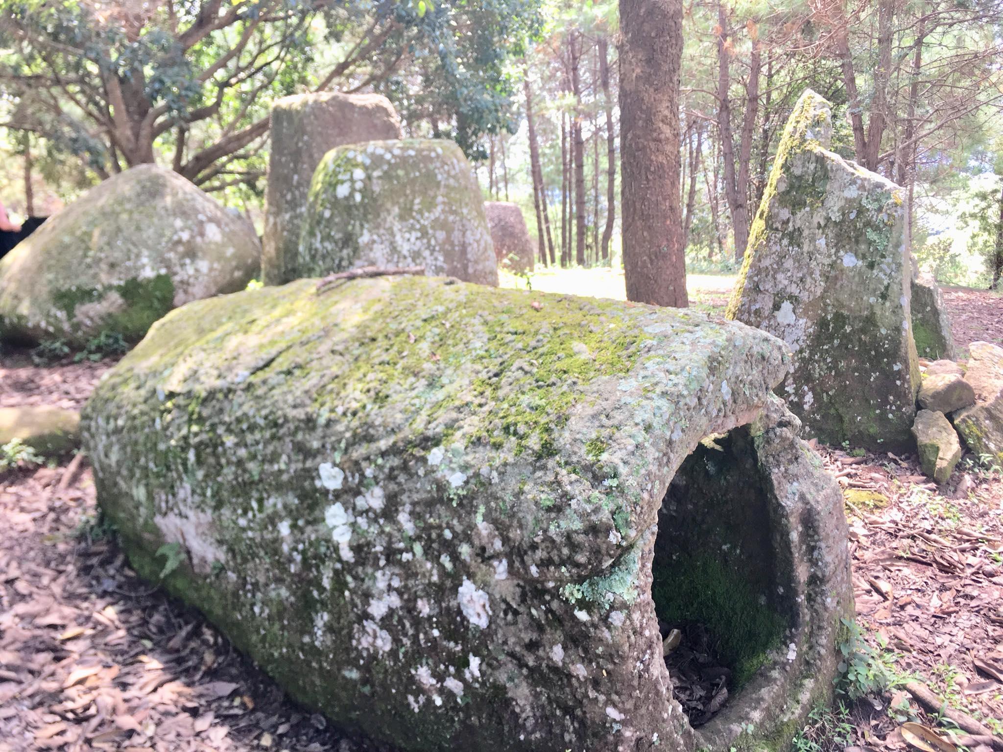 Plain of Jars Day Trip