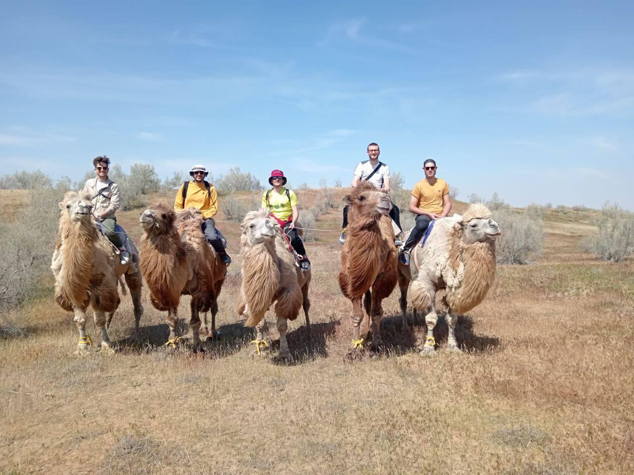 Lake Aydarkul: Kyzylkum Desert with Camel Ride & Taste Milk 2