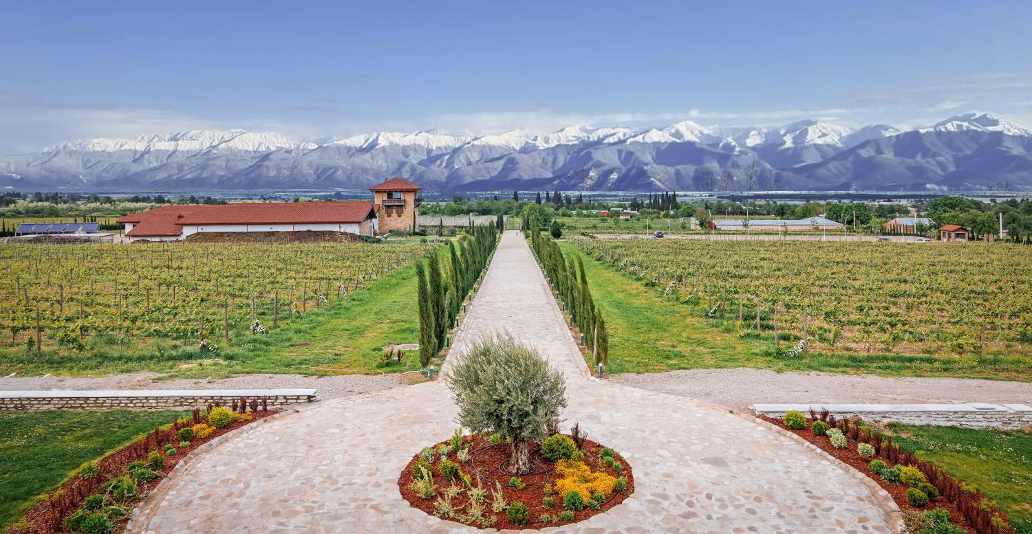 From Tbilisi: Kakheti Private Trip with Wine Cave 3