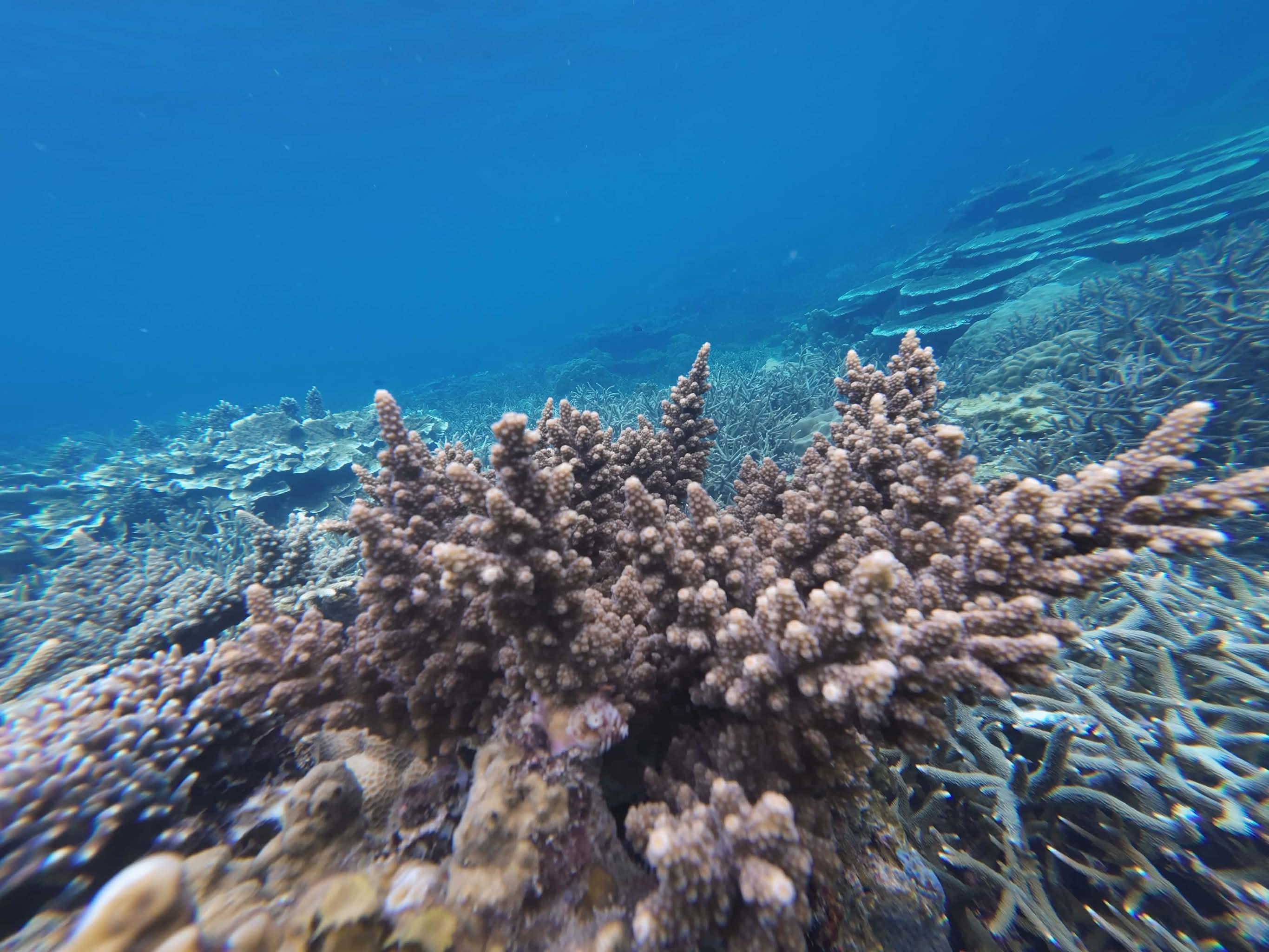 El Nido: Flexible 2-Day Pass for Shared Island Tours A & C 3