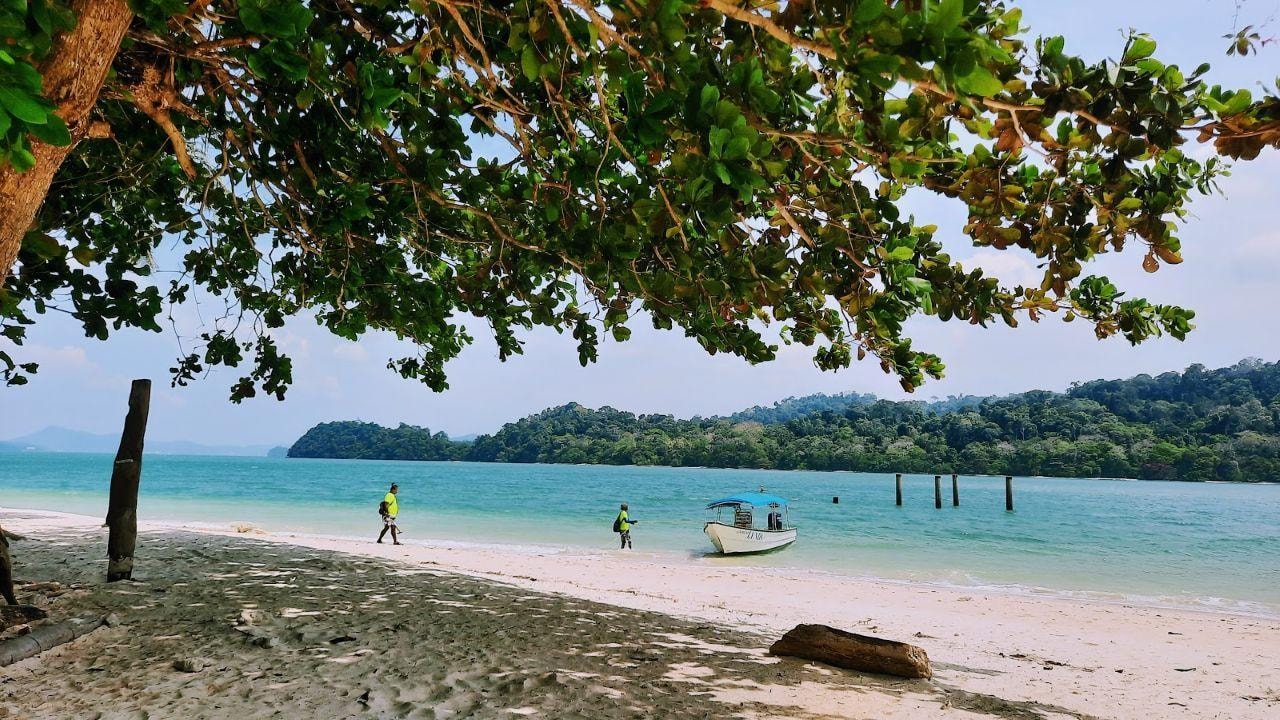 Langkawi: 3-Hour Private Mangrove Kilim Geoforest Boat Tour 2