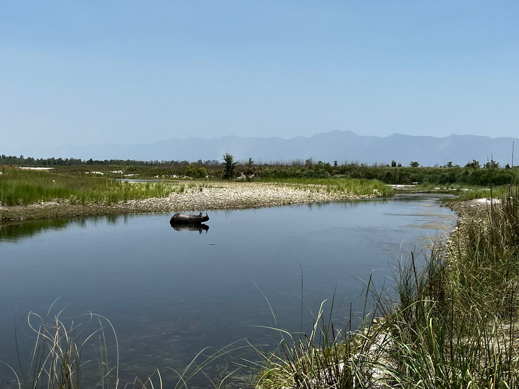 3 Nights 4 Days Chitwan National Park with Tower Night Stay 3