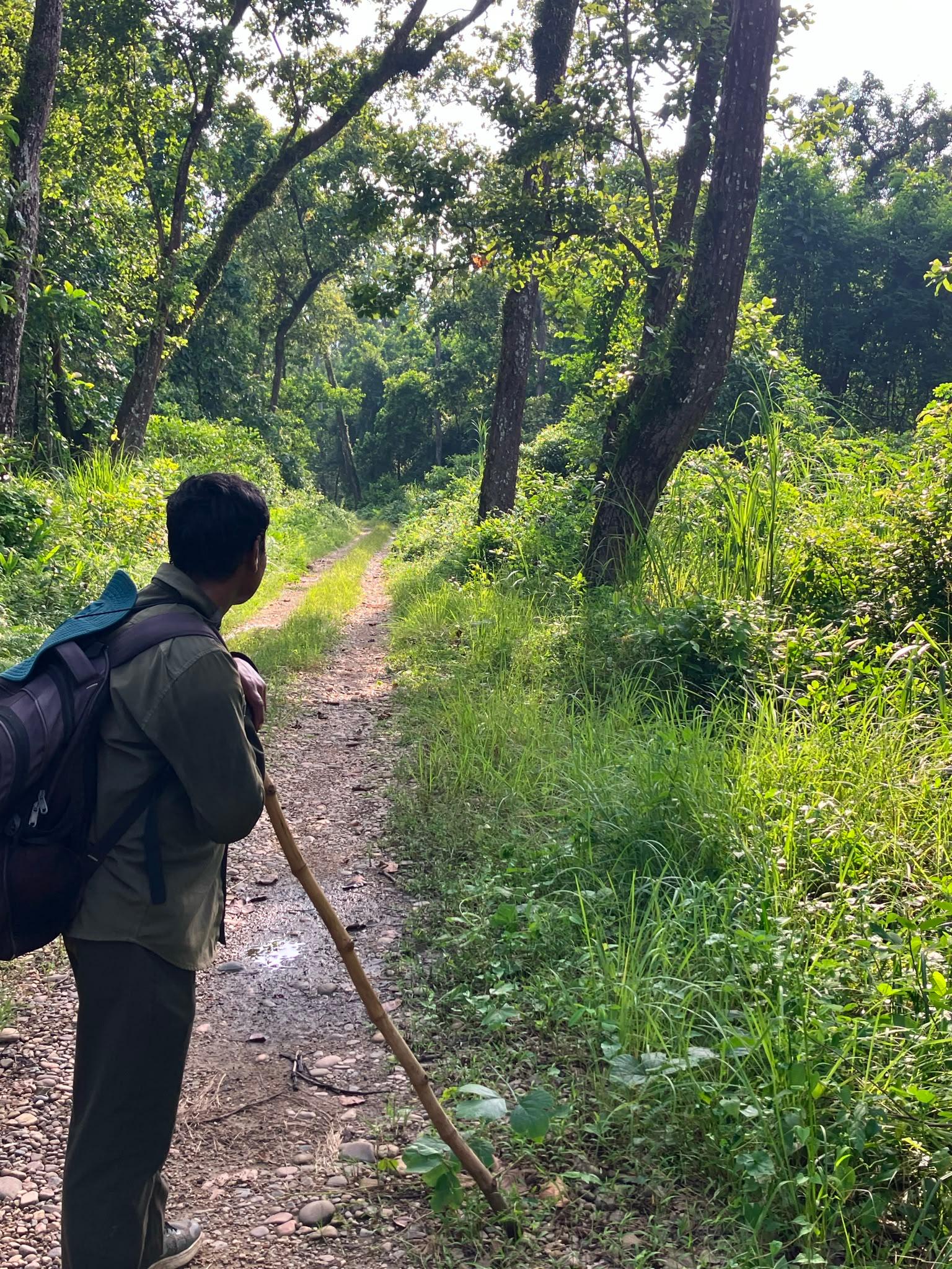 From Chitwan: 3-Night Chitwan Adventure with Jungle Stay 3