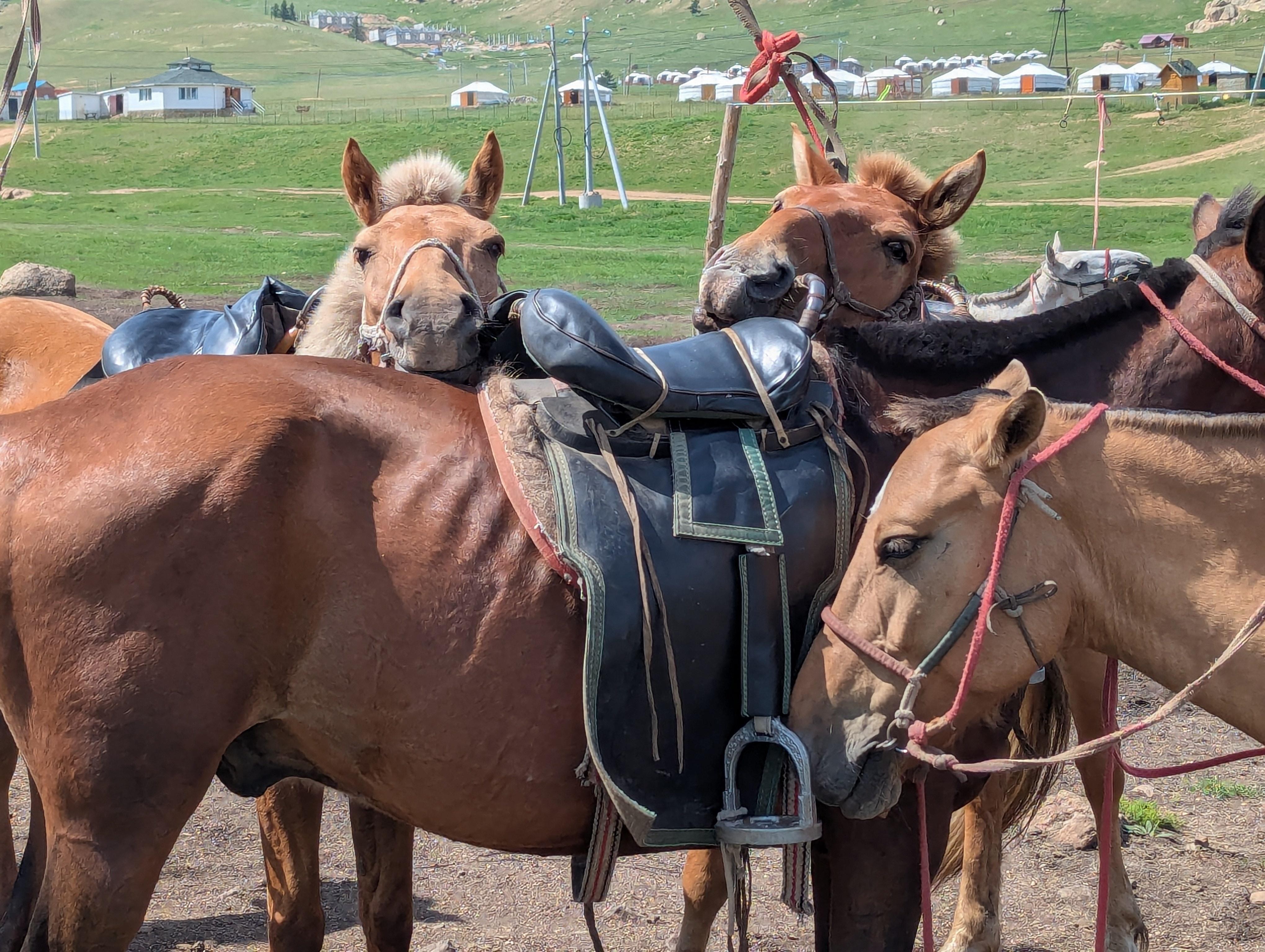 3-Day Terelj Tour with Horse Riding & Chinggis Khan Statue 2
