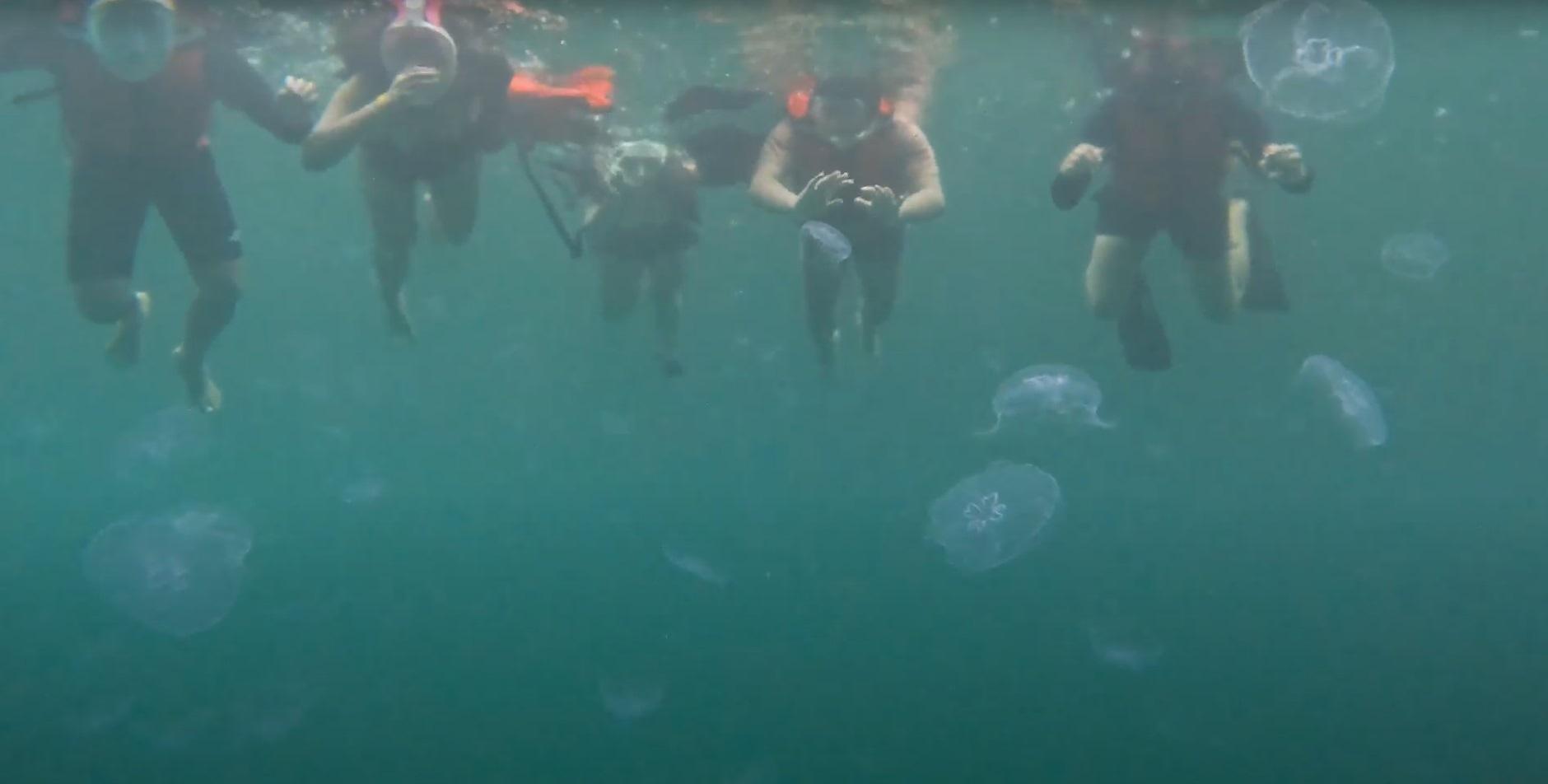 Sohoton Cove: Swim with Jellyfish & Explore Hidden Lagoons 2