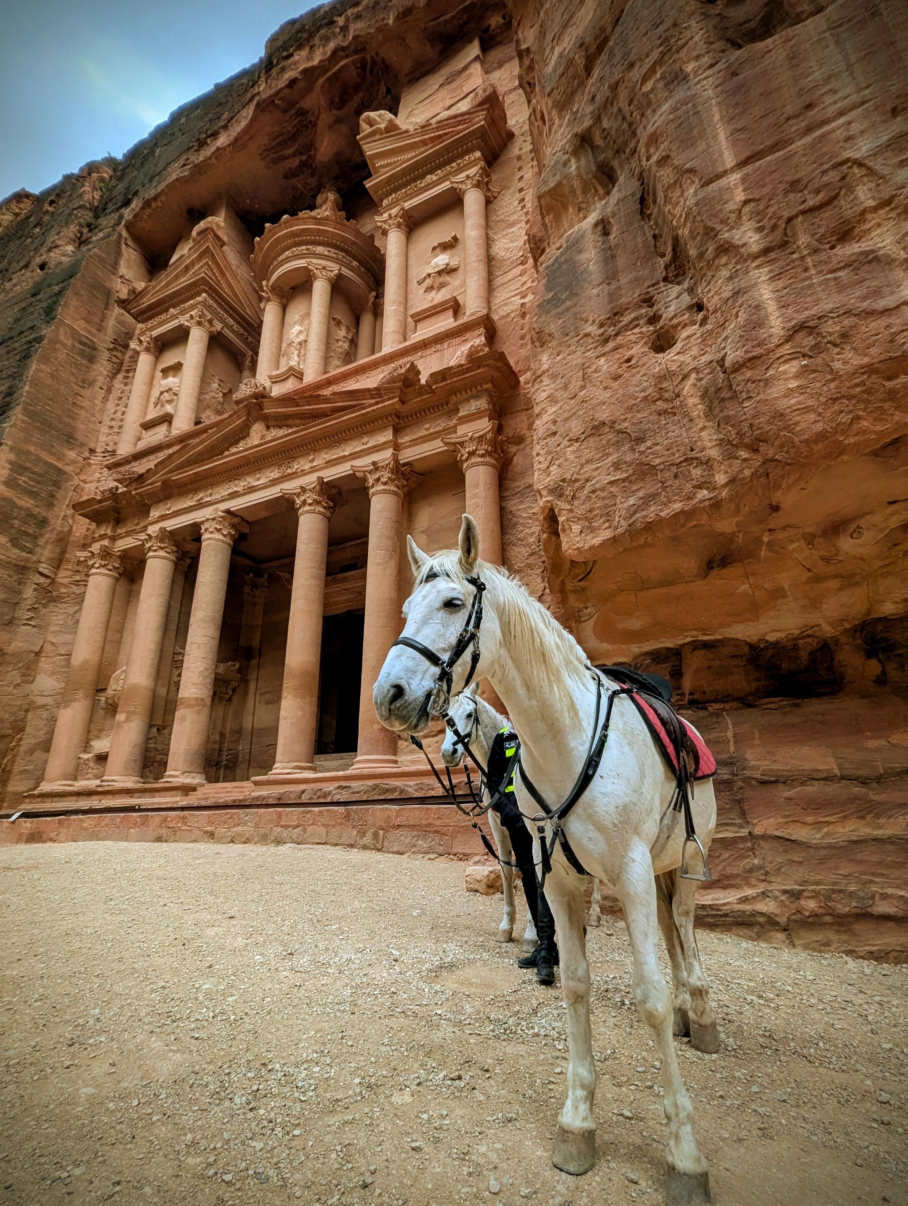 From Amman: Petra & Wadi Rum Day Tour, Shared or Private