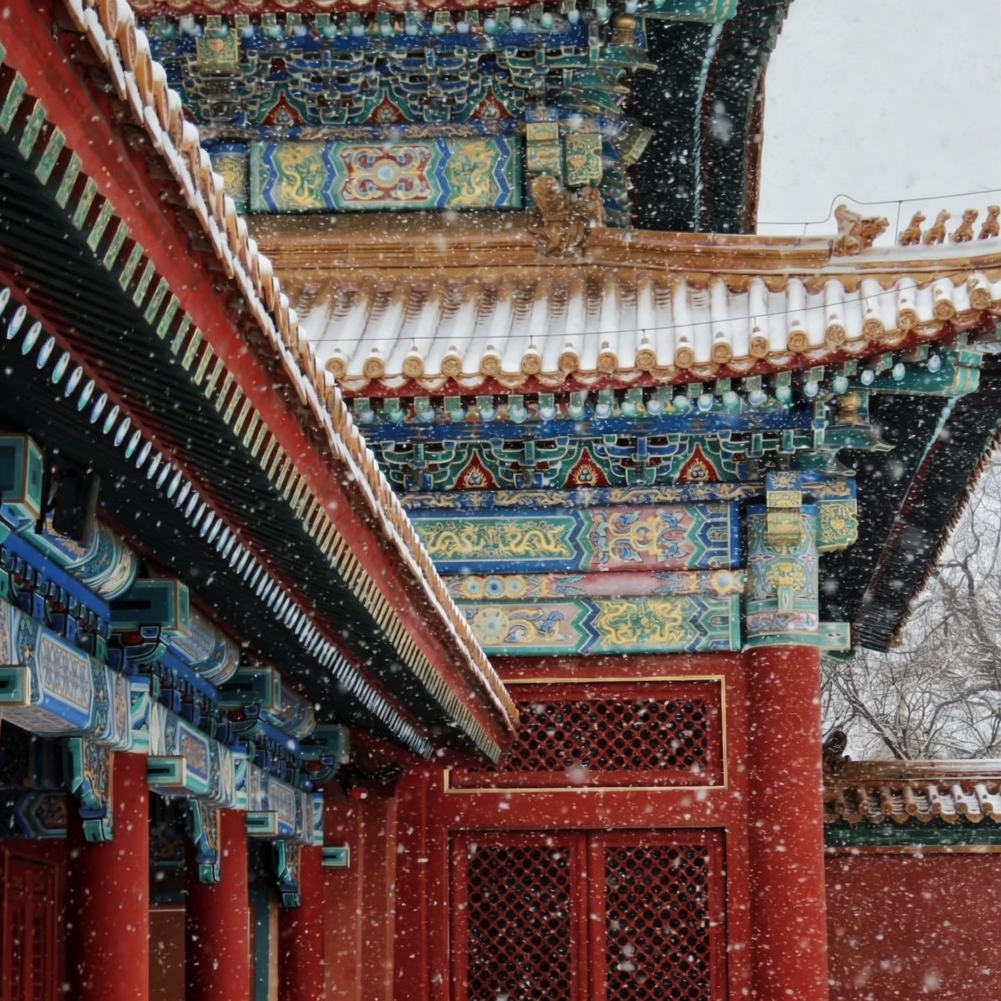Beijing: Forbidden City Guided Tour with Entry Ticket 3