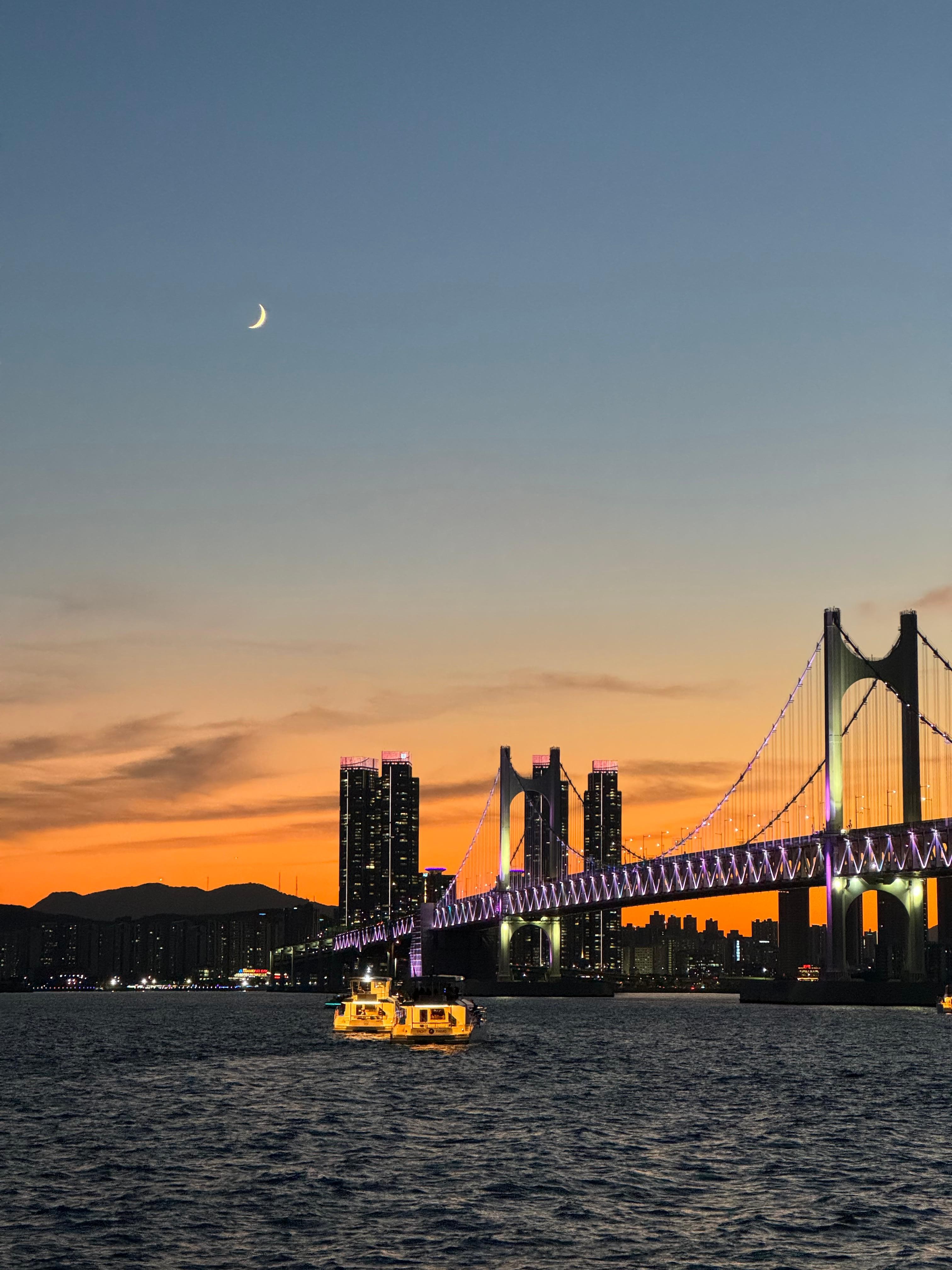 Busan: Group Sightseeing Yacht Cruise with Snacks and Drinks