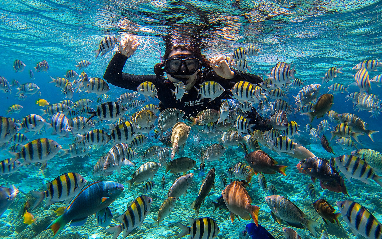 Cebu: Mactan Island Hopping & Snorkeling Tour with Lunch