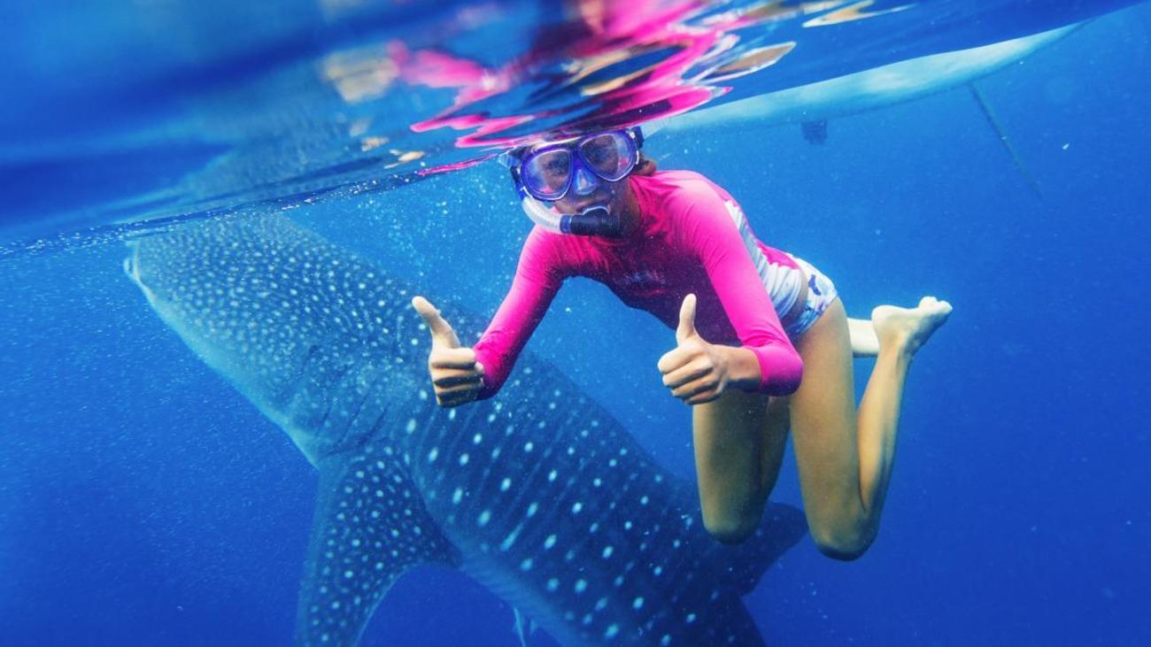 Cebu: Whaleshark Encounter, Sumilon Sandbar & Tumalog Tour
