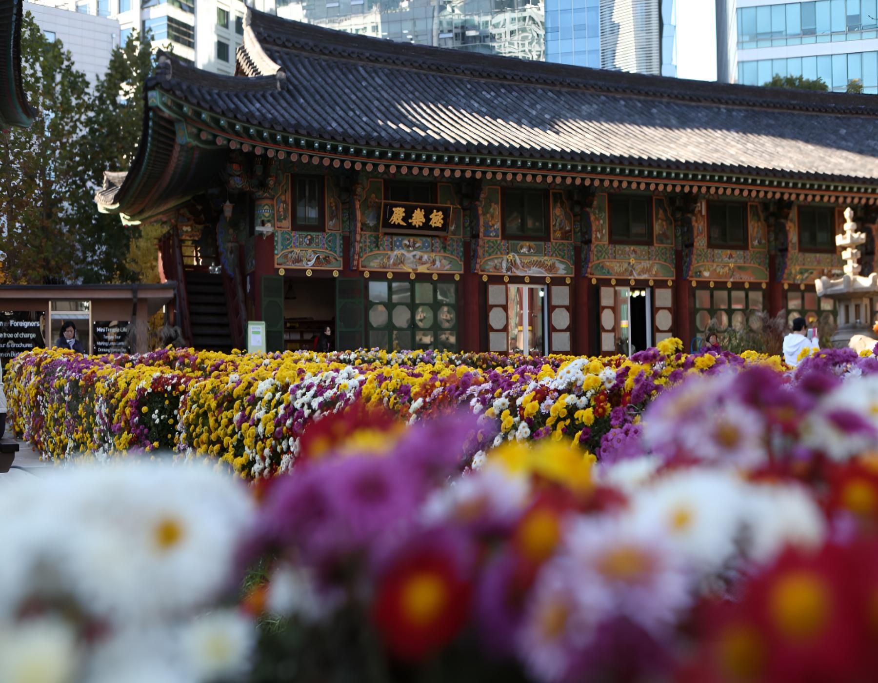 Explore Roots of Seoul: Jongmyo, Temple, Market Walking Tour 3