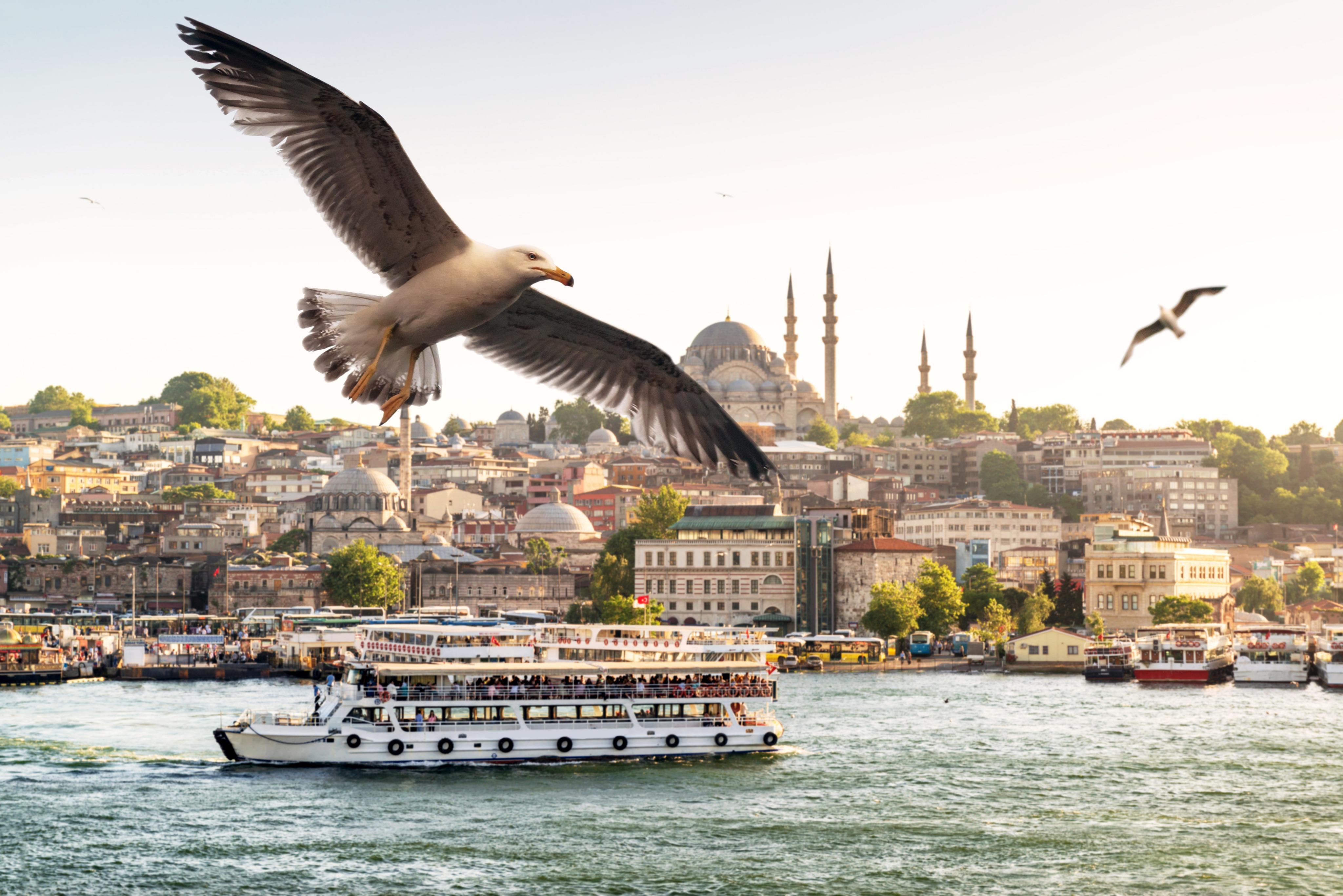 Blue Mosque Guide 2026: Visiting Sultan Ahmed Mosque, Hours and Etiquette