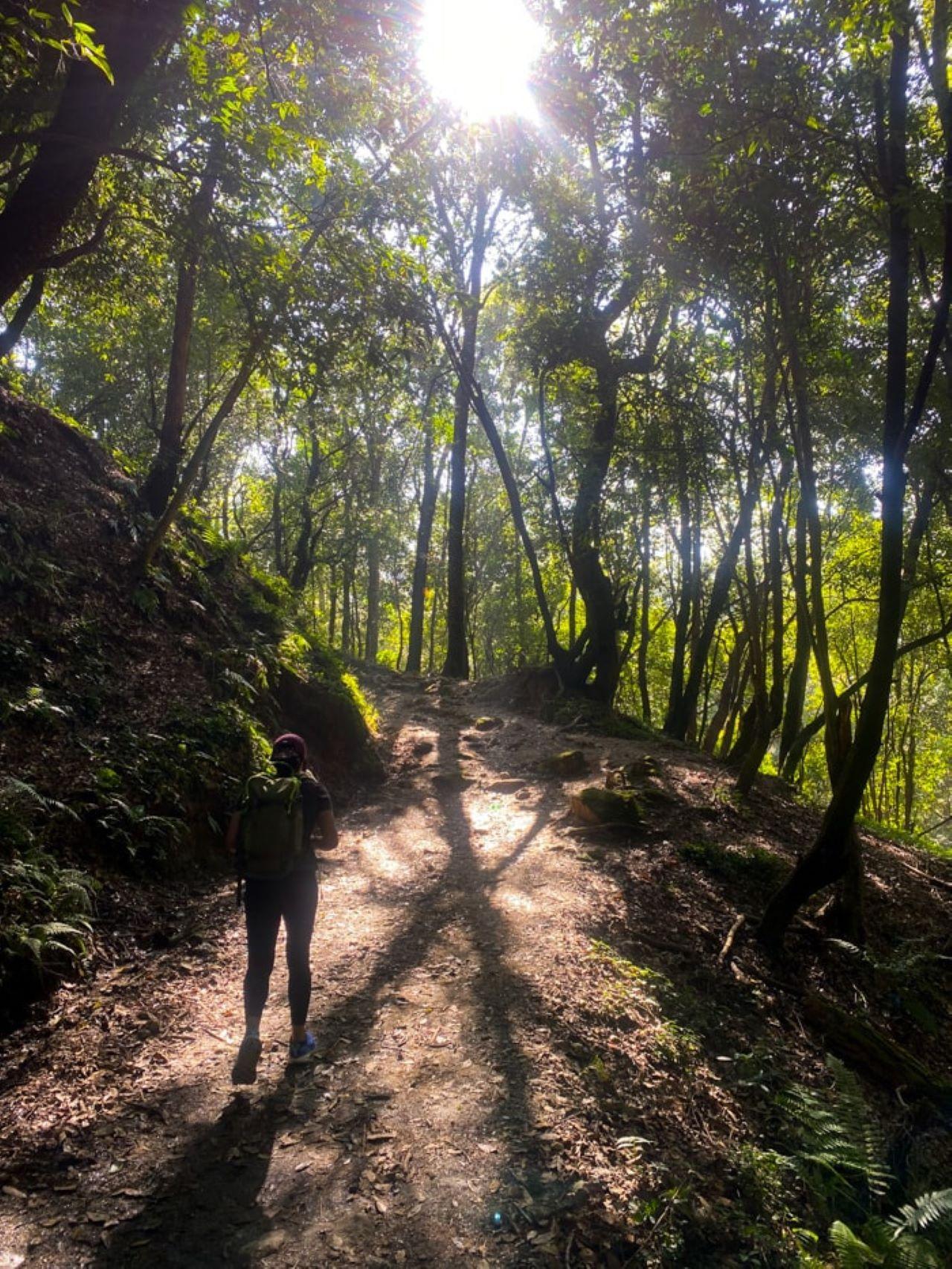 Kathmandu: Day Hike with Breakfast and Lunch