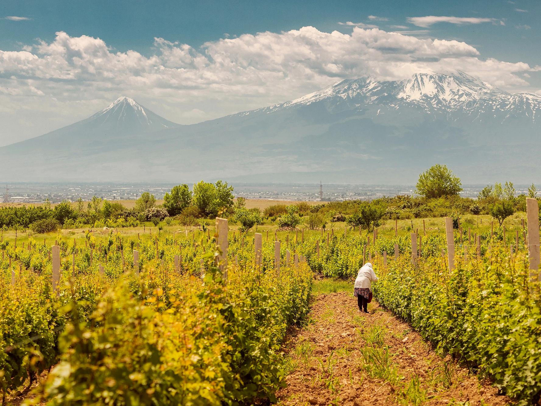 From Yerevan: Khor Virap, Noravank & Areni Wine Tour