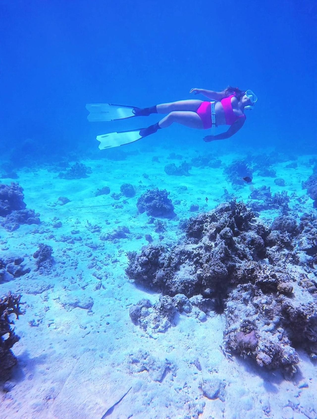 Bantayan Island: Fundive Freediving Excursion 3