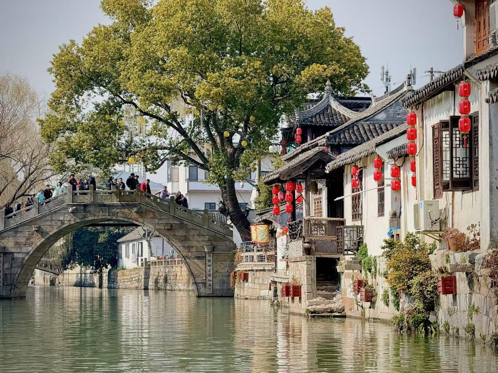 Shanghai: Authentic Fengjing Watertown Private Tour 3