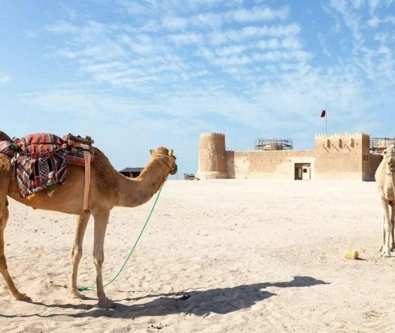 North Qatar: Guided Journey Through History, Coast & Culture