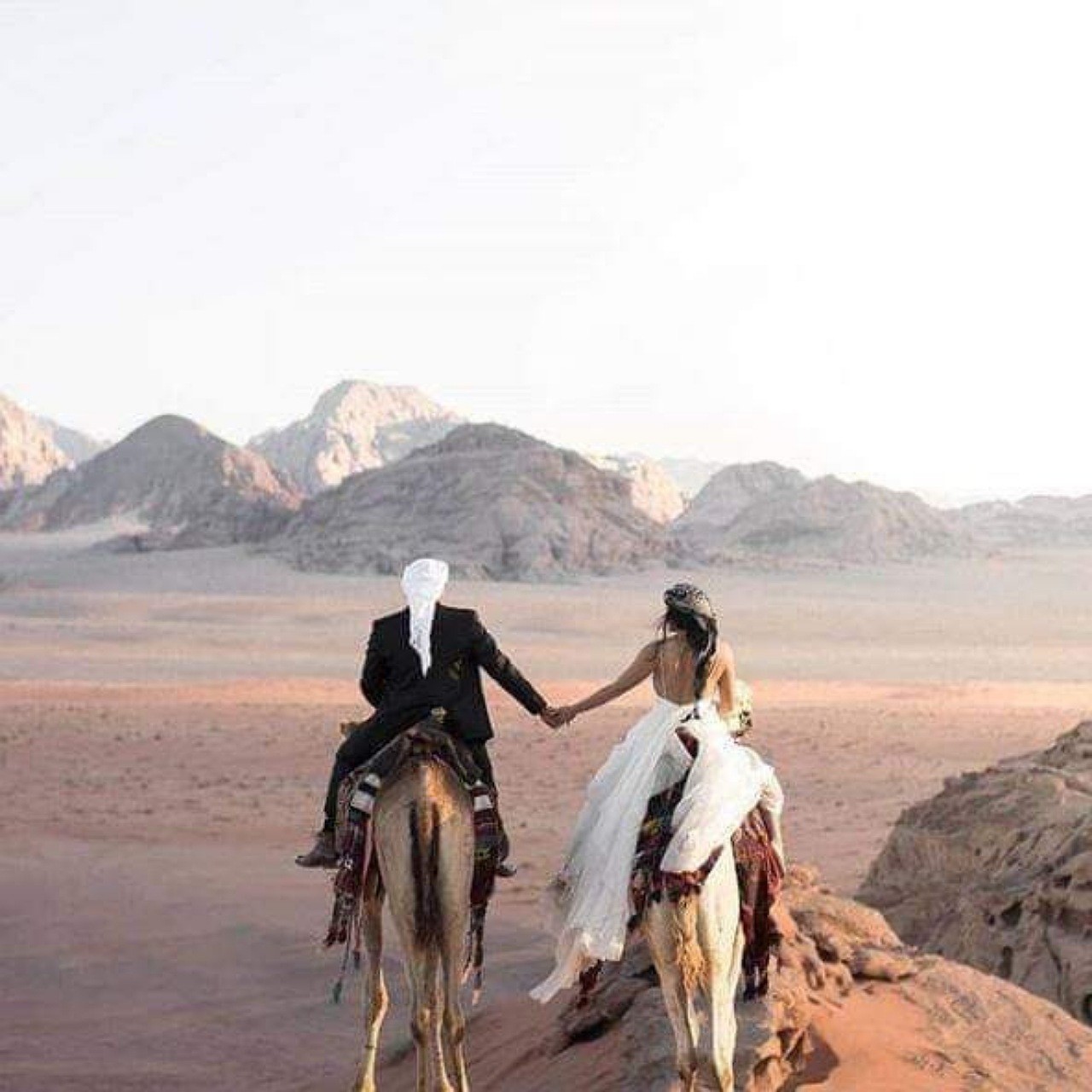 Wadi Rum Full Day Camel Tour
