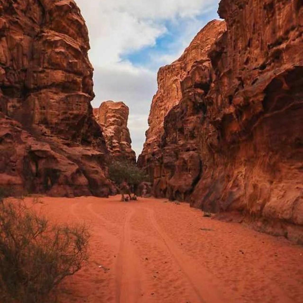 Wadi Rum Full Day Camel Tour 2