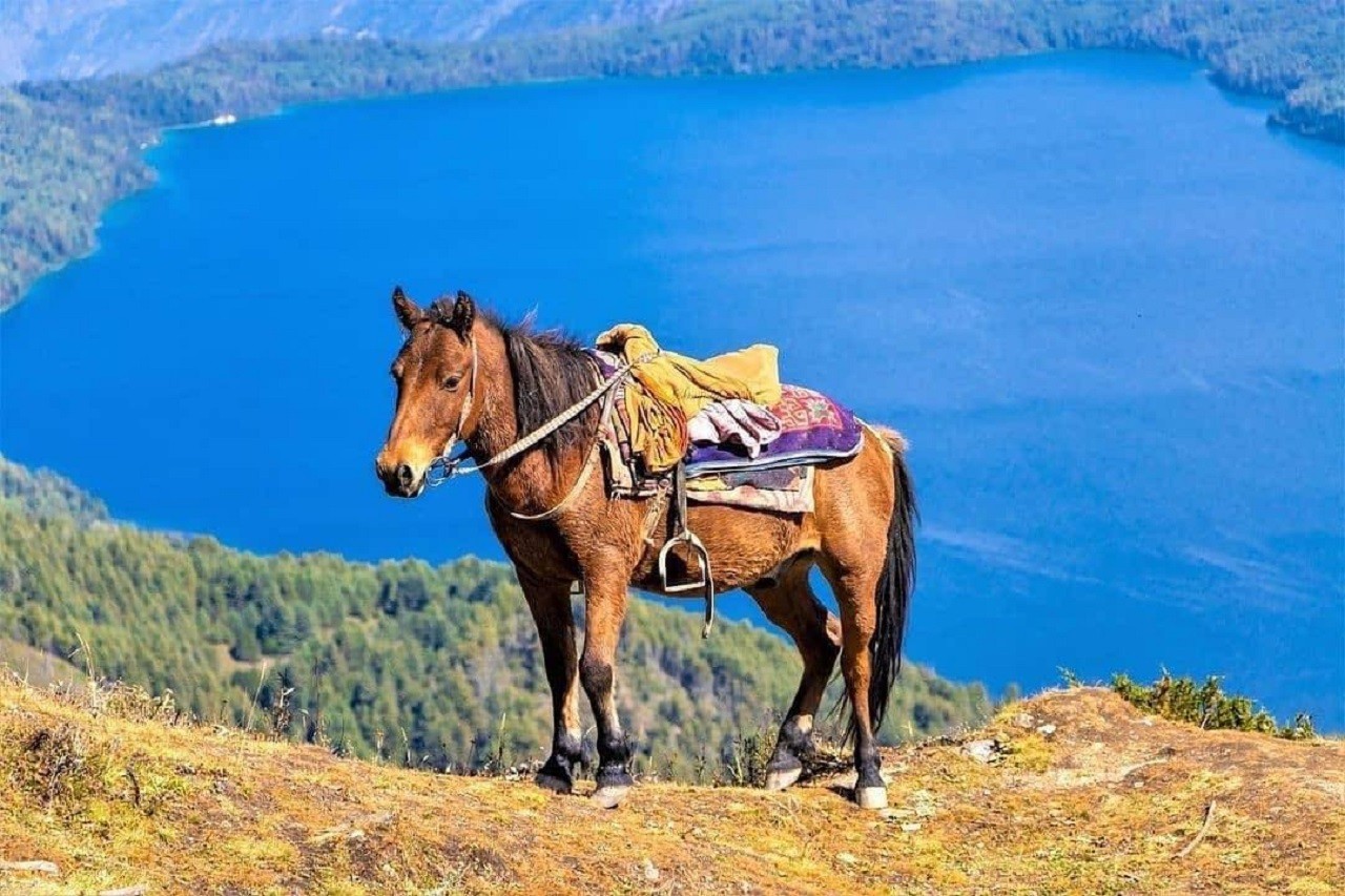 Pokhara: Horseback Riding Adventure with Hotel Pickup