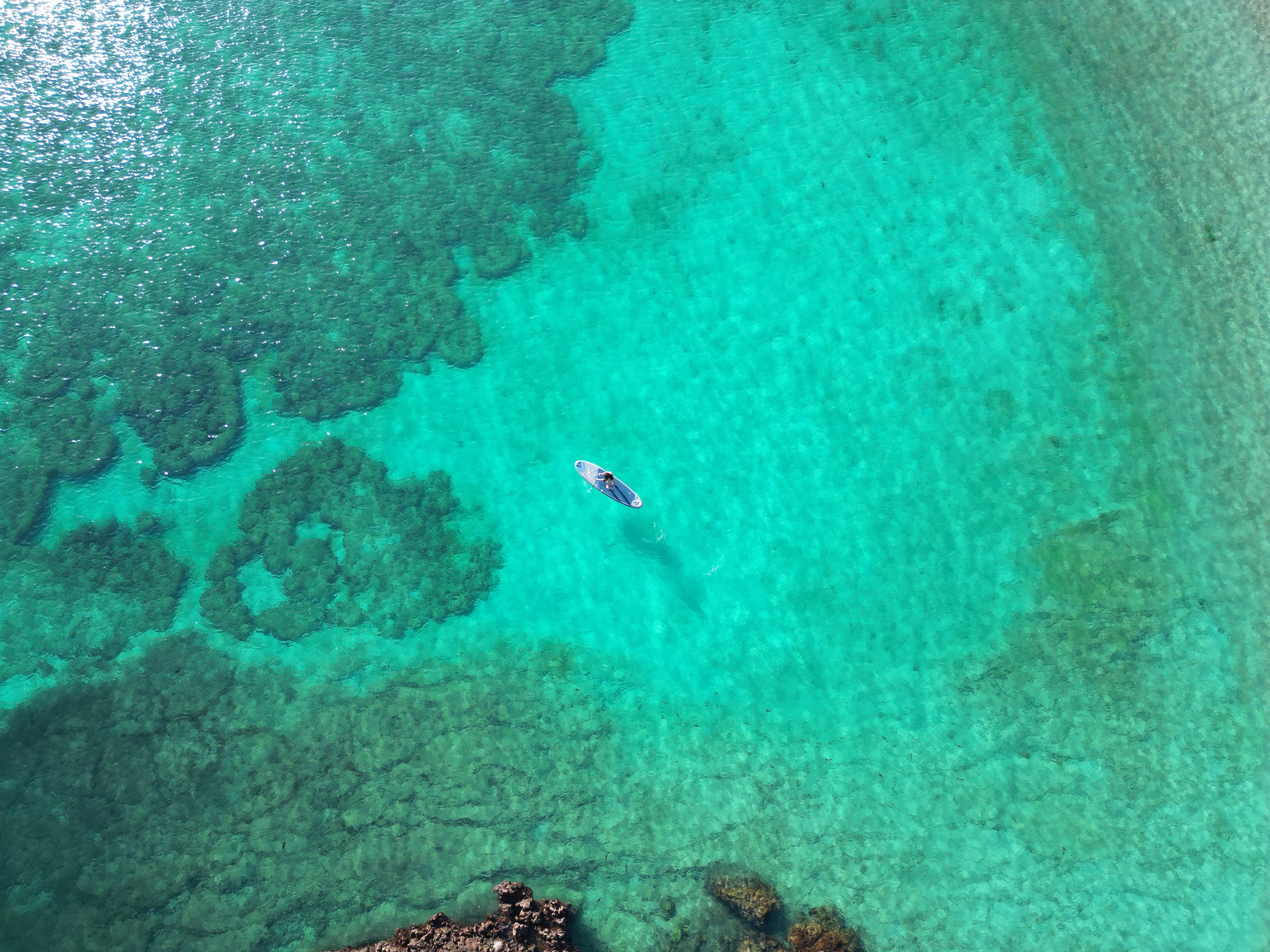 Daymaniyat Snorkeling: Turtles, Whale & Blacktip Sharks+GoPro
