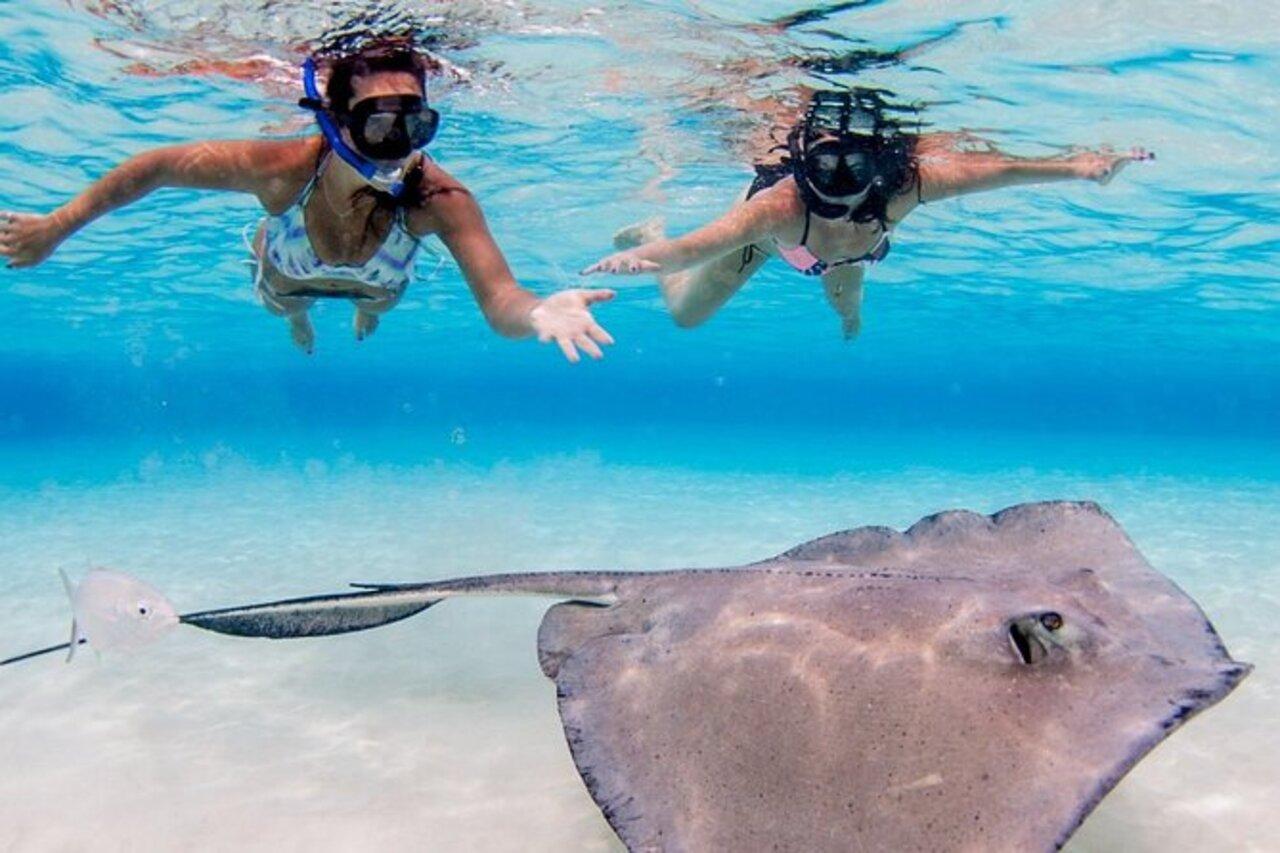 Private Stingray Snorkeling Tour 3