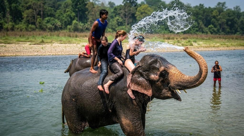 From Kathmandu: 3-Day Chitwan Wildlife Safari by Jeep 2