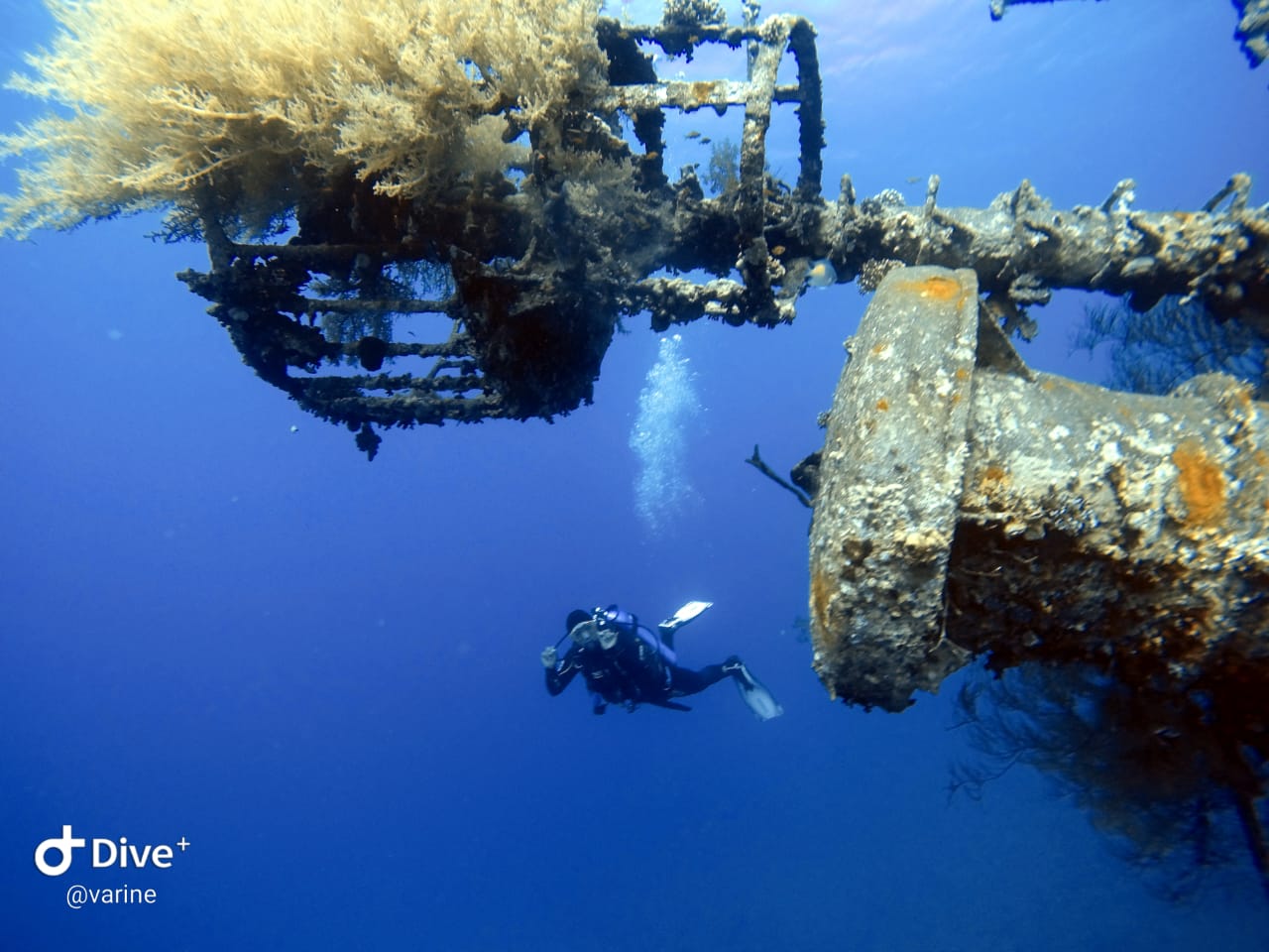 Private scuba diving in the Red Sea of Aqaba 2