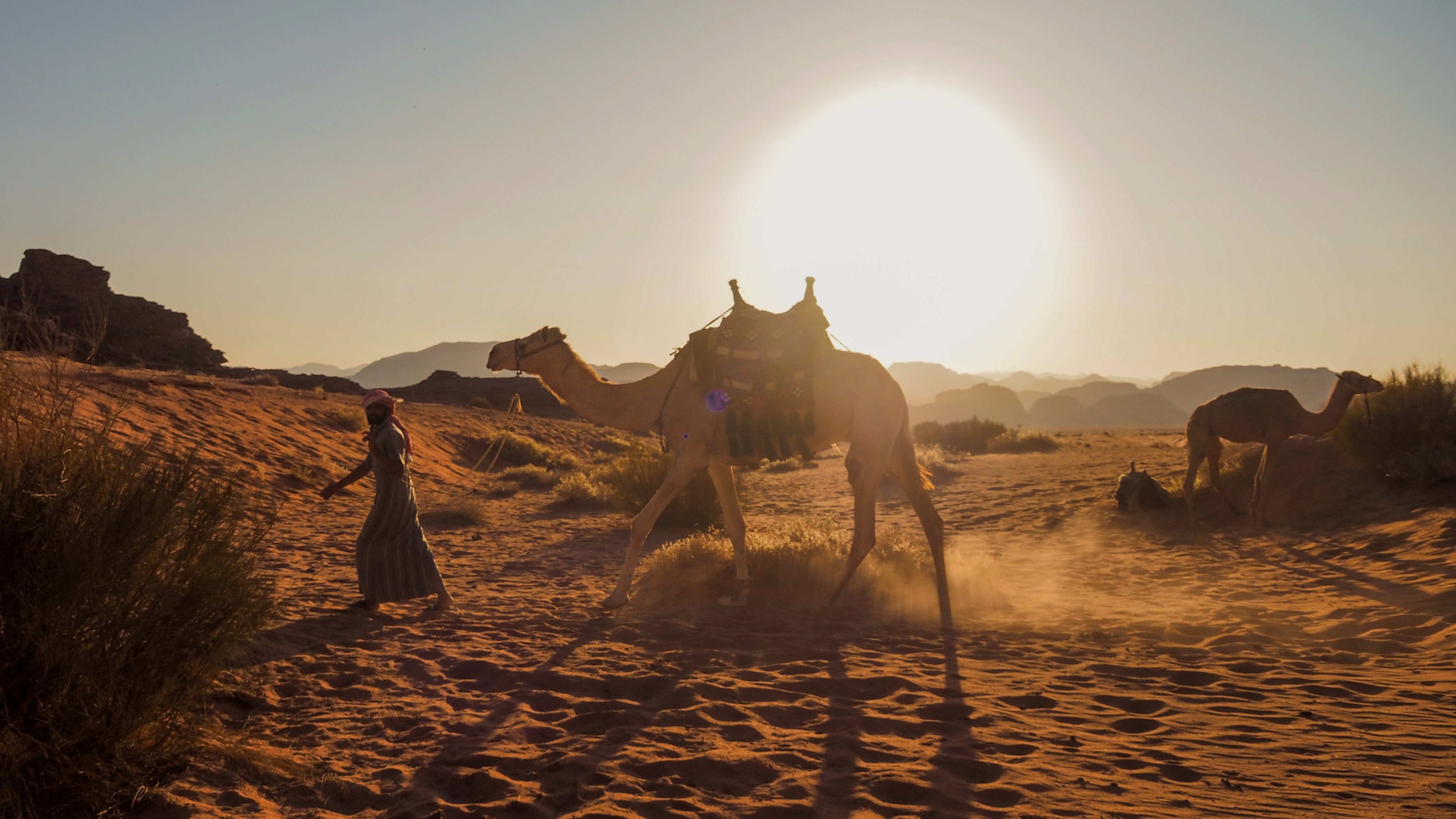 Wadi Rum: 2-Hour Camel Ride at Sunset/Sunrise Overnight