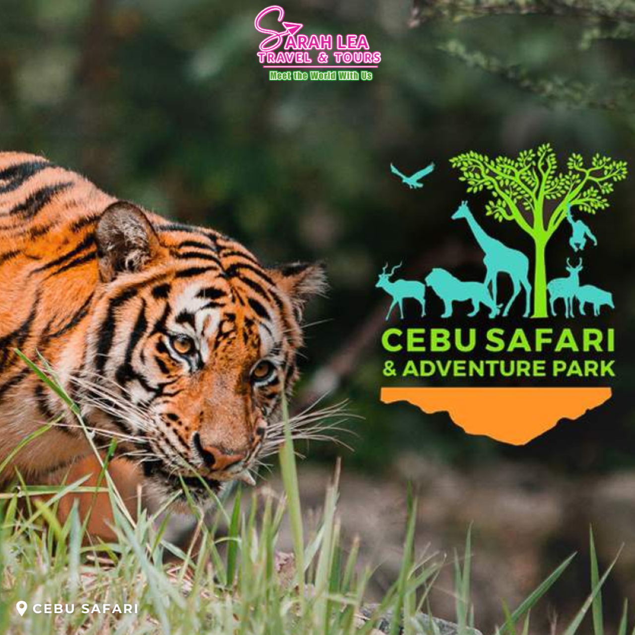 From Cebu City: Full-Day Wildlife Safari & Savanna Ride 2