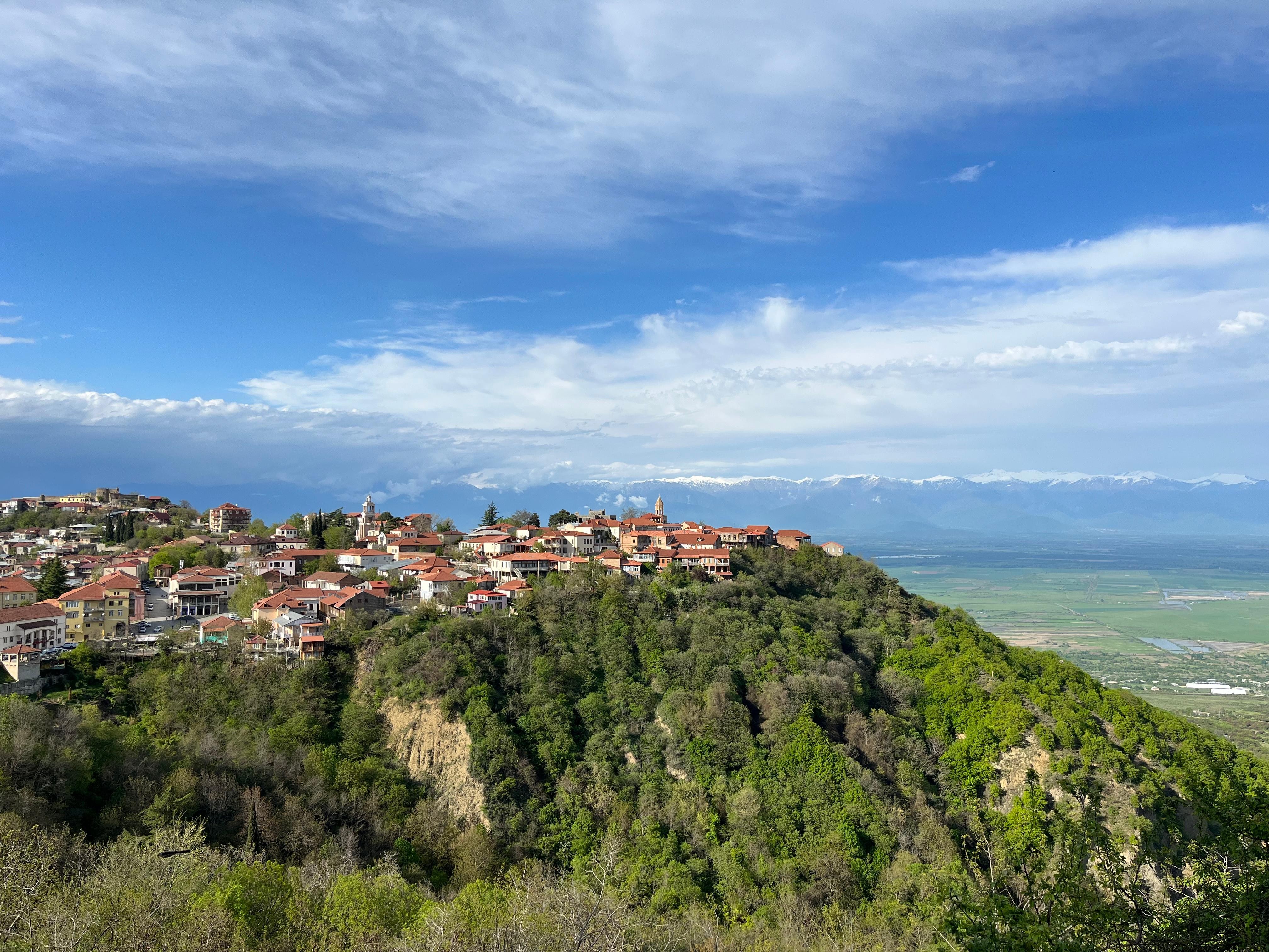 From Tbilisi: Private Sighnaghi, Bodbe Monastery & Wine Tour