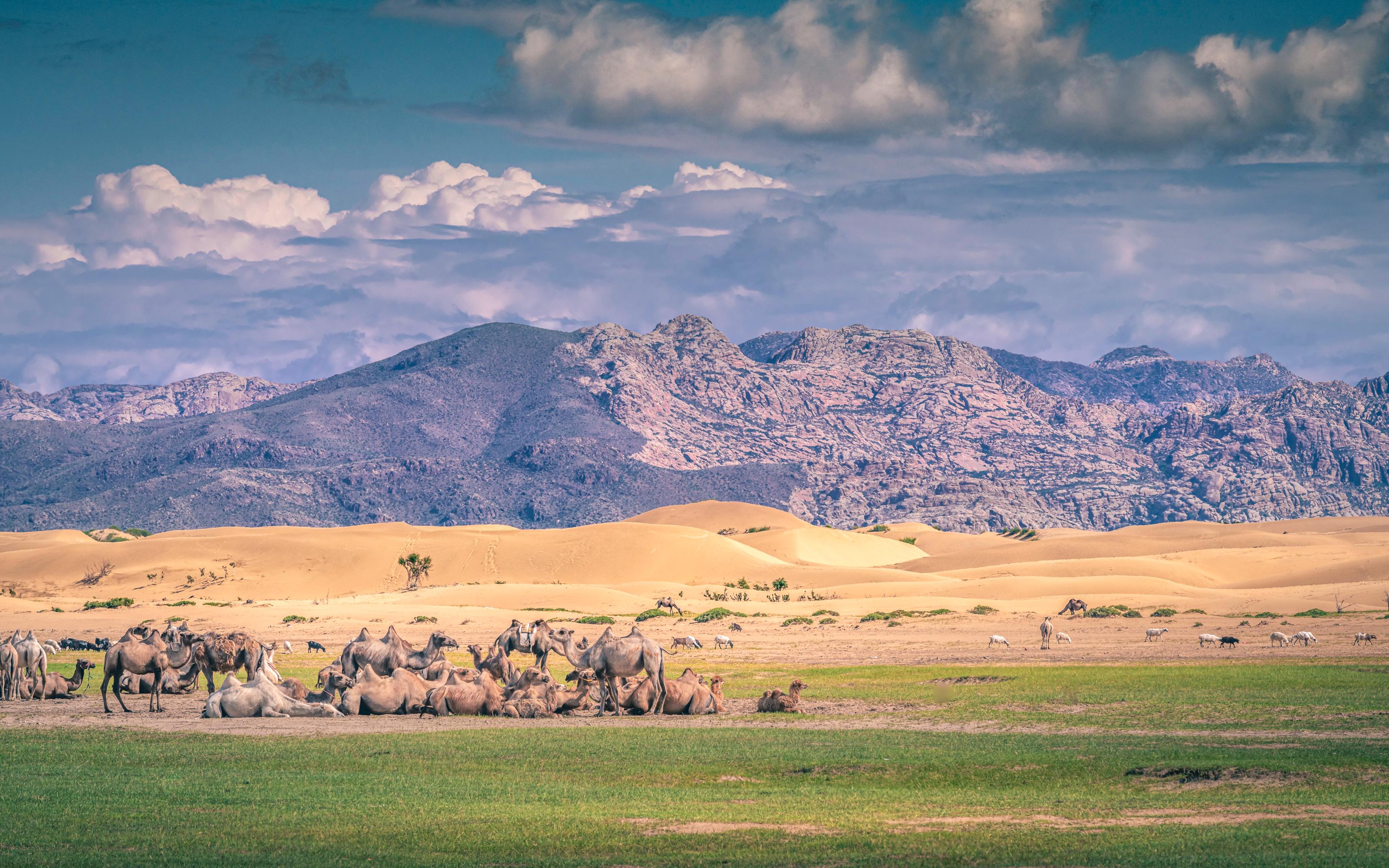 From Ulaanbaatar: 4-Day Mongolian Steppe & Nomadic Life Tour