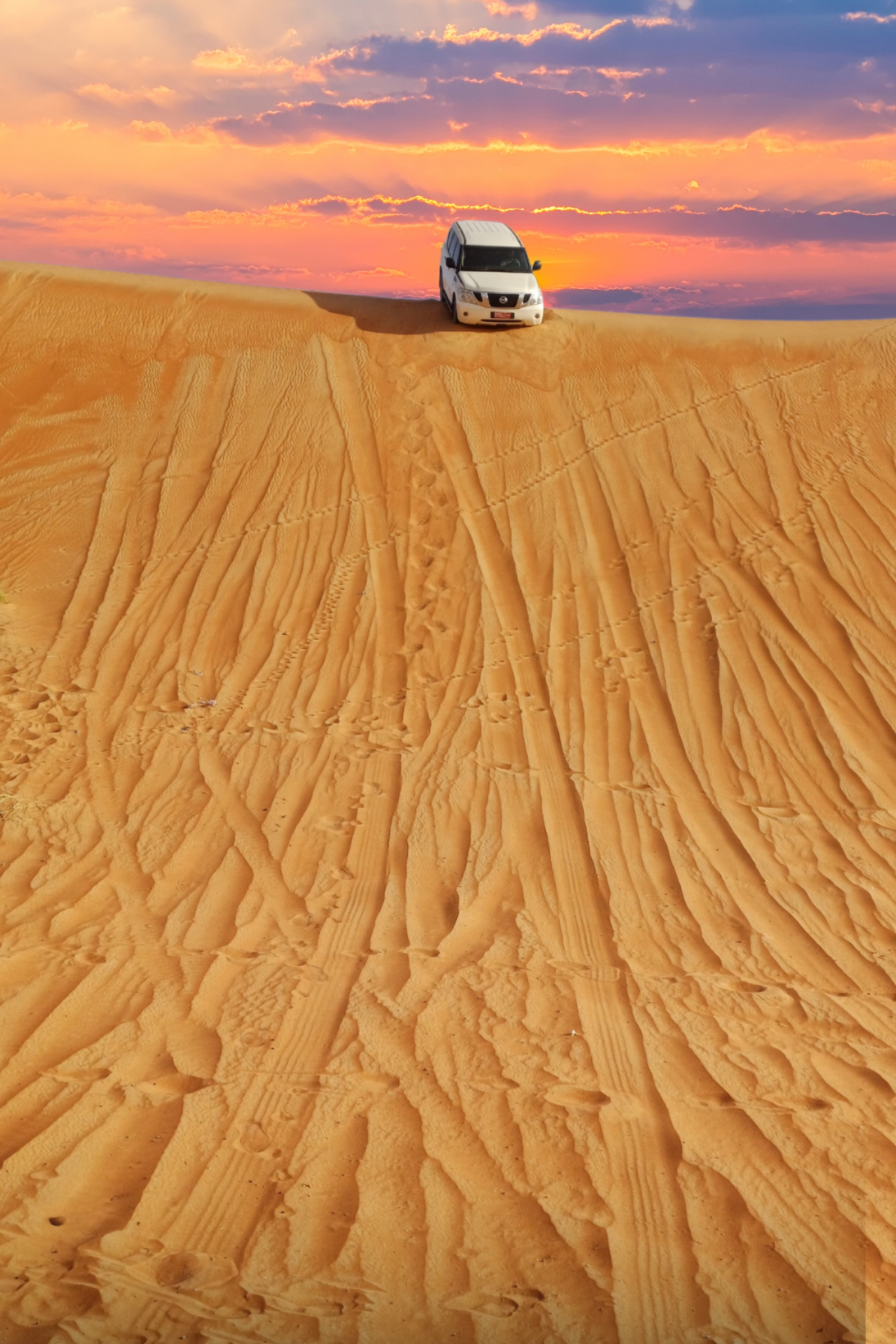 Muscat: Wahiba Sands, Wadi Bani Khalid Tour