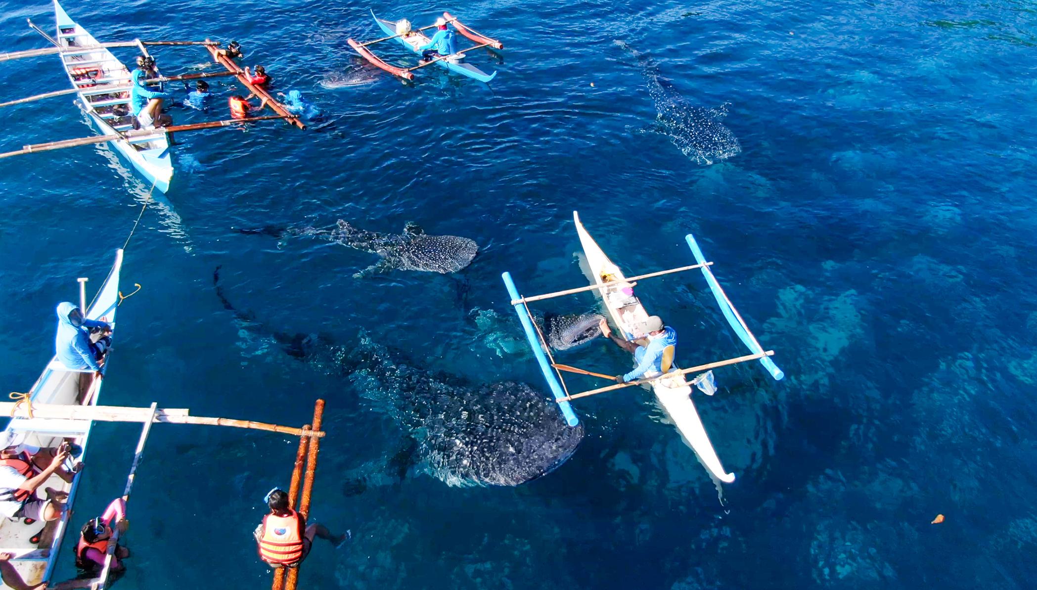 Cebu 2 Days Highlights Tour 2