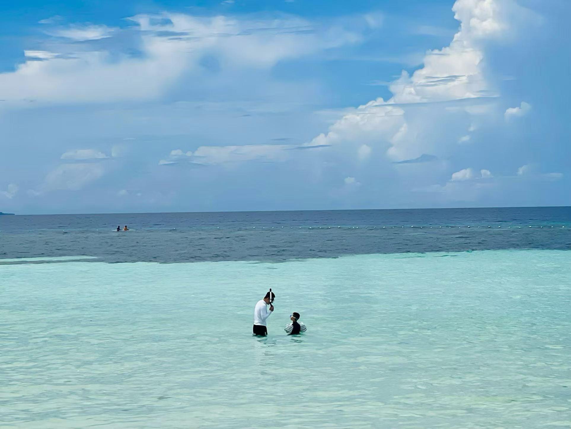 From Panglao: Balicasag Island Snorkel & Dolphin Search Tour 3