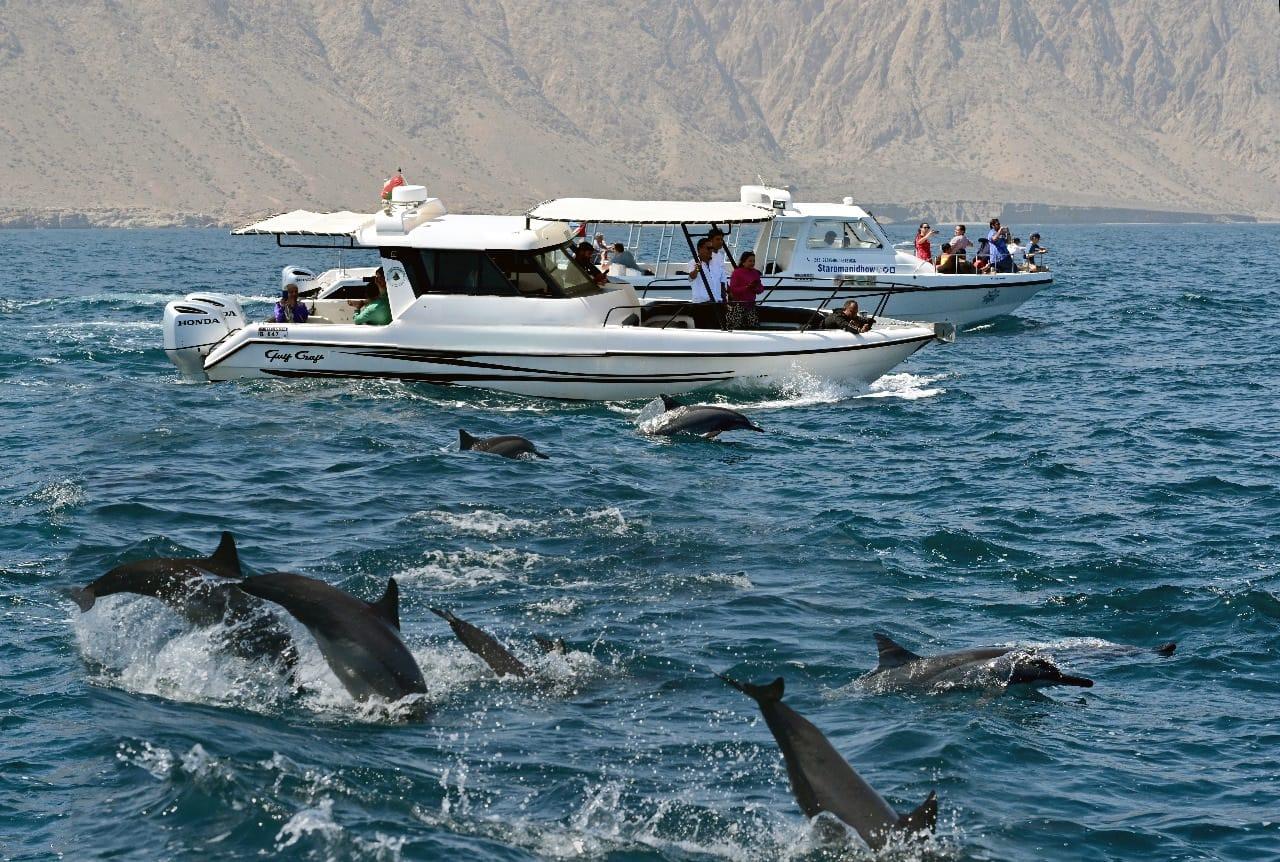 Muscat: Majestic Dolphins – Private Ocean Tour