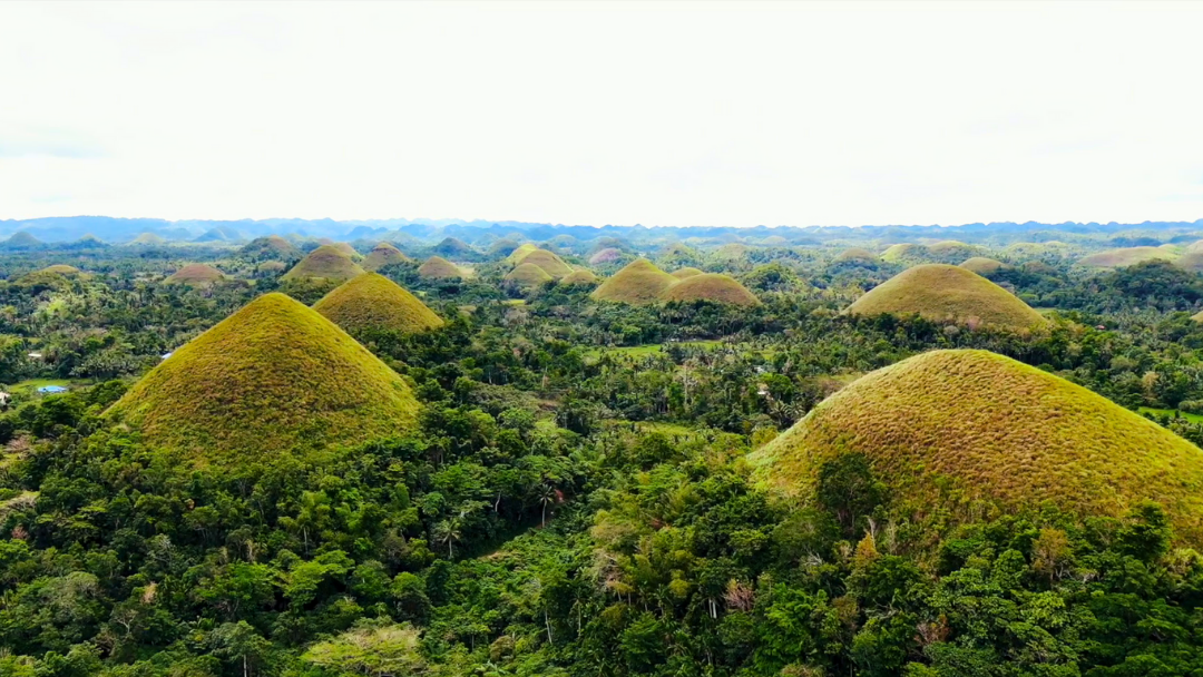 From Cebu: Bohol Day Trip with Loboc River Cruise & Lunch 3