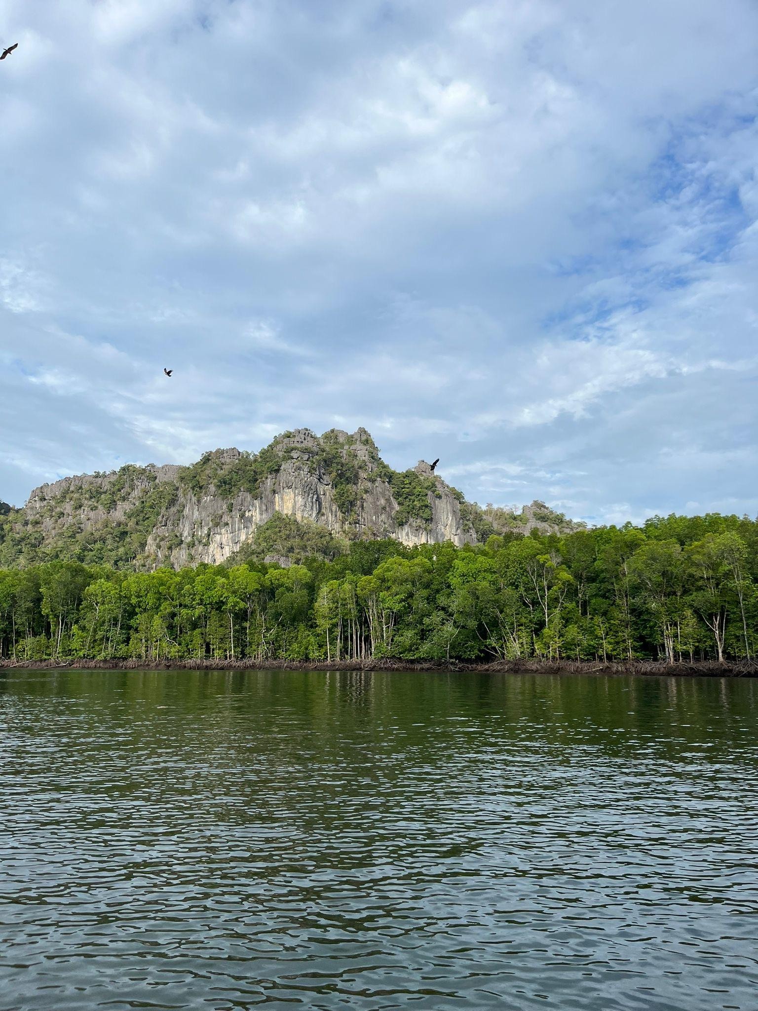 Langkawi: Half-Day Private Kilim River Mangrove Boat Tour 3
