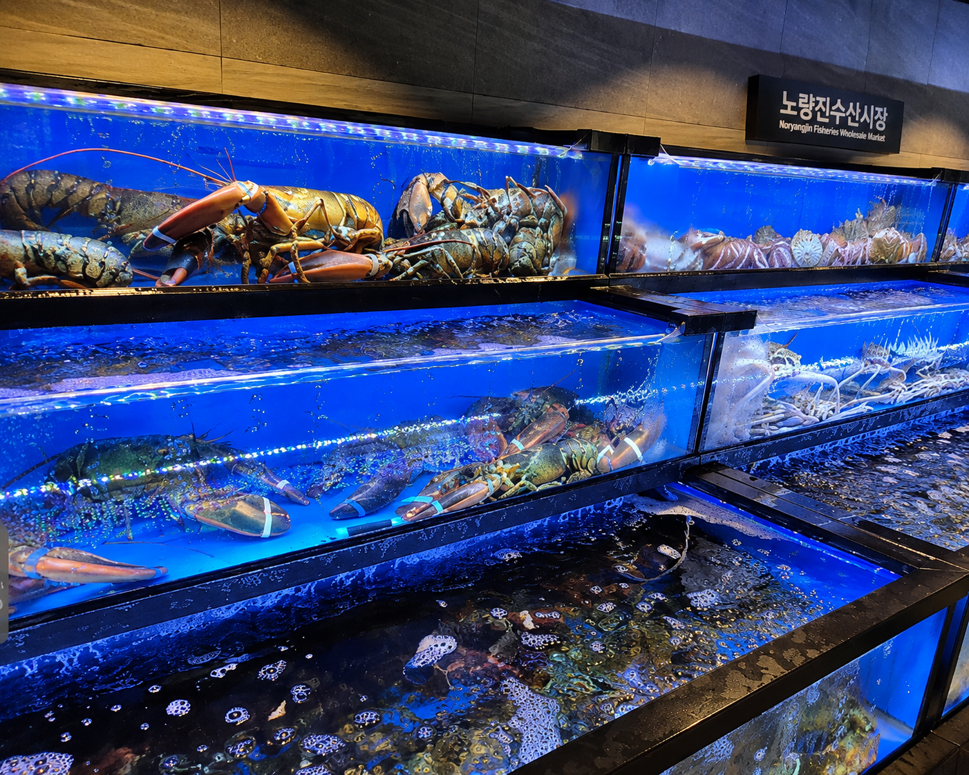 Seafood Market Tour & Wine Dinner with a Sommelier