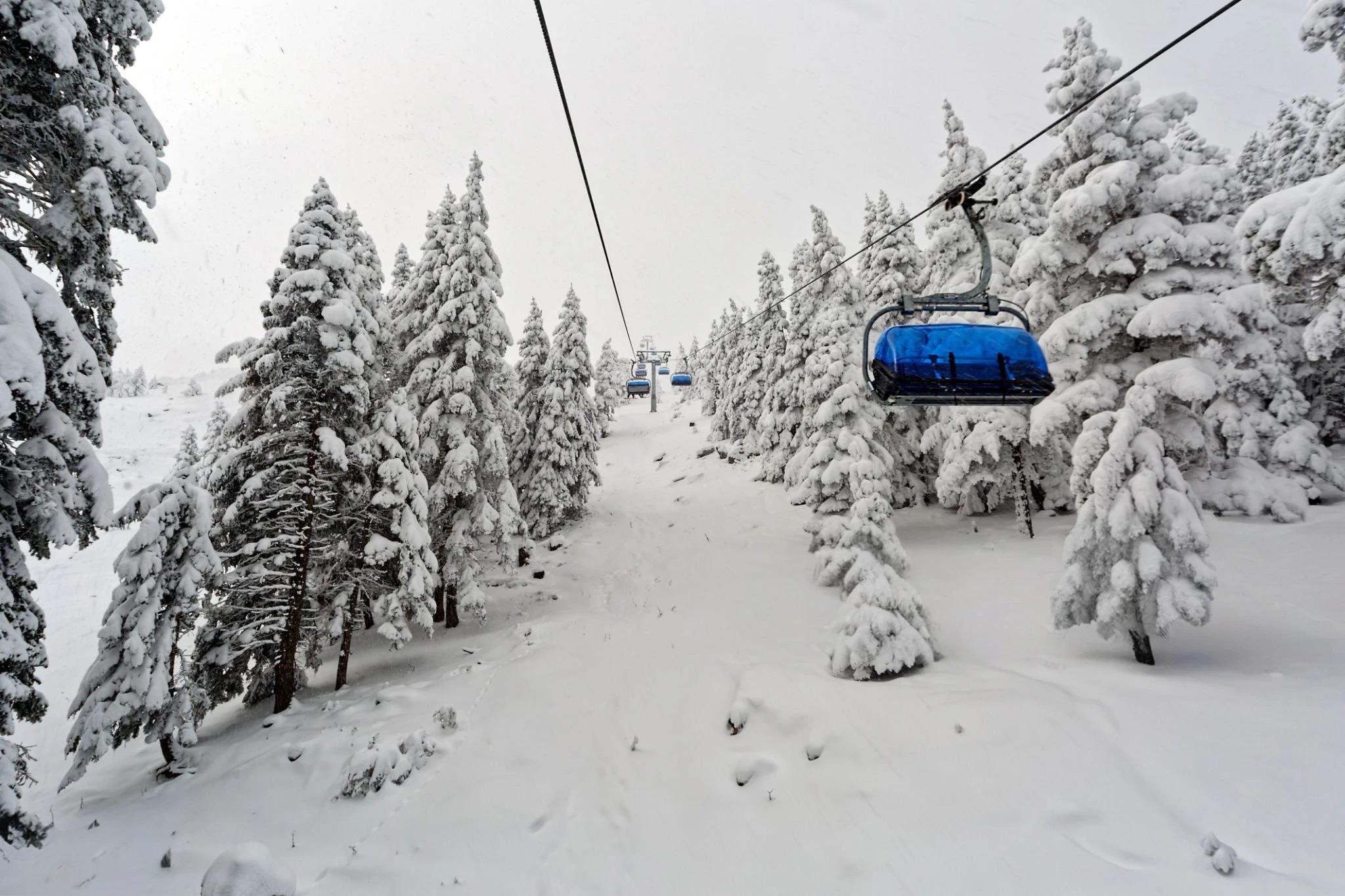 Borjomi & Bakuriani Snow Adventure Private Tour from Tbilisi 3