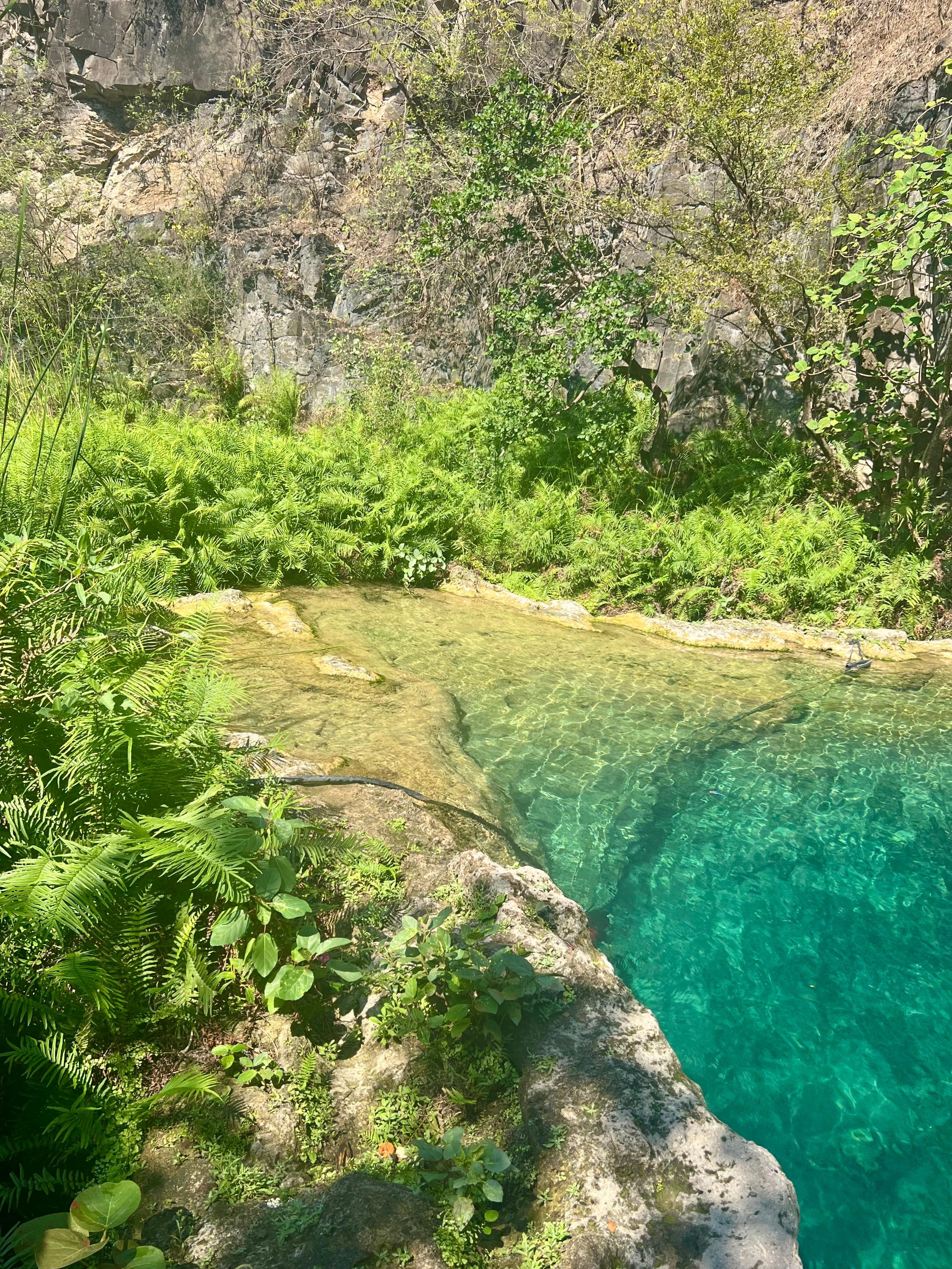 Hike to Hidden Waterfalls – Ayn Ghedh Adventure