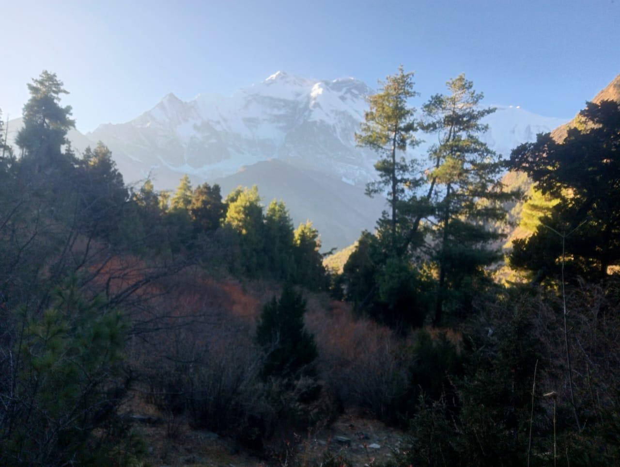 From Kathmandu: 12-Day Annapurna Circuit Trek via Thorong La