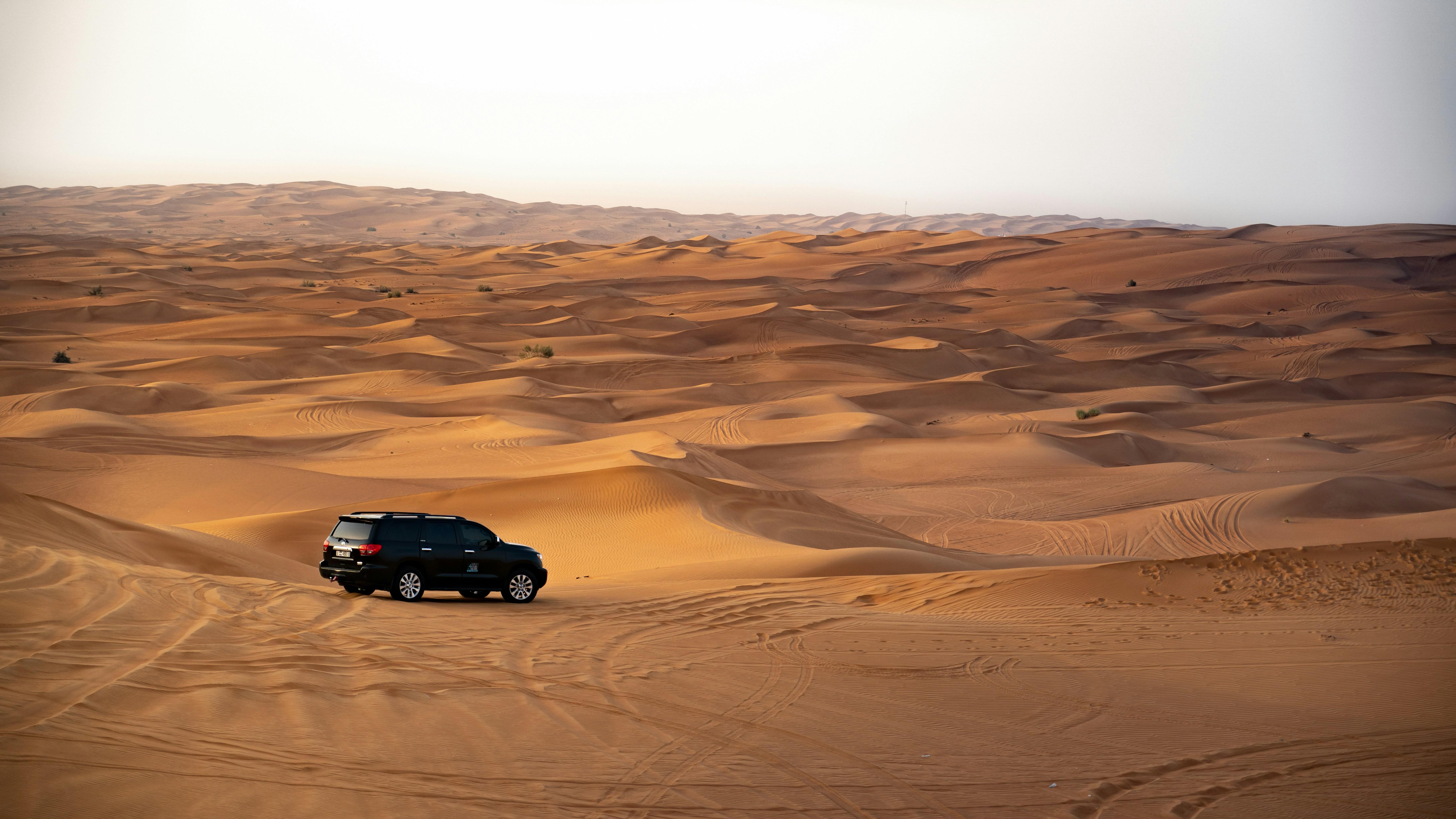 Doha: Desert Safari with Dune Bashing & Camel Ride 3