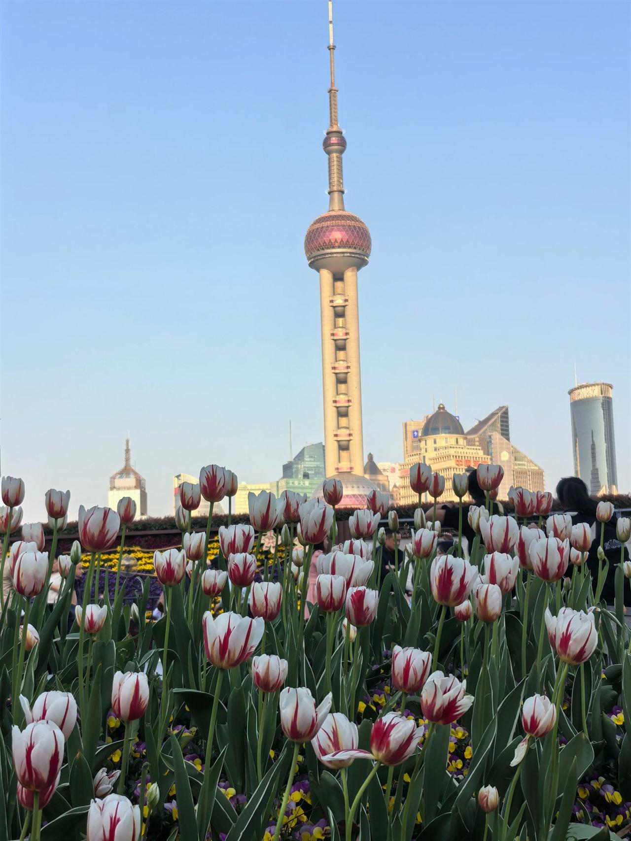 Shanghai: Yu Garden, The Bund, and Lujiazui Day Tour