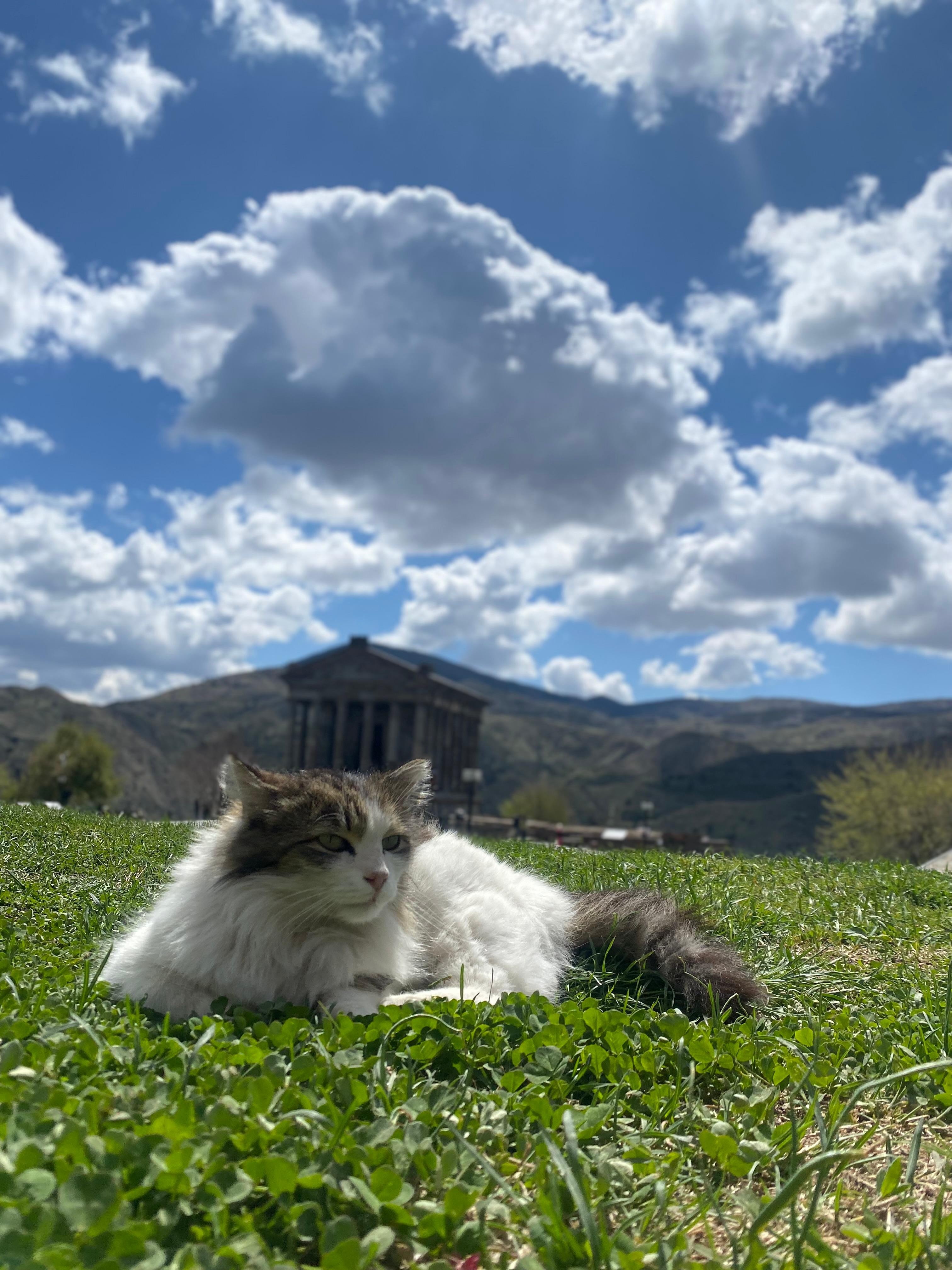 Garni, Geghard & Symphony of Stones Tour