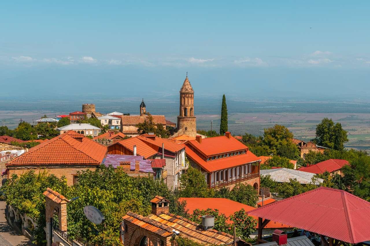 Kakheti Wine & Culture Tour: Sighnaghi, Bodbe & More 2